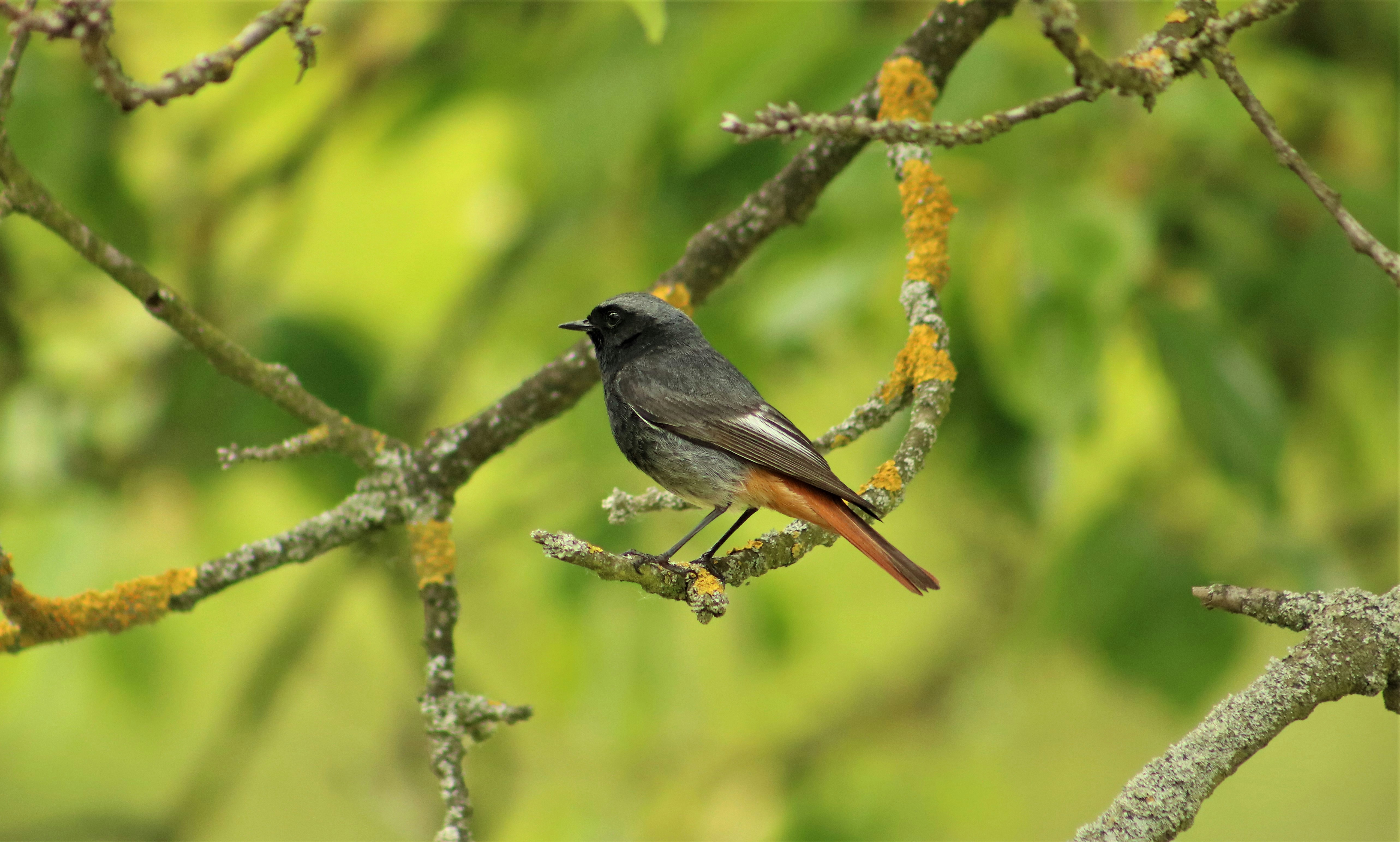 Photo by magneticart