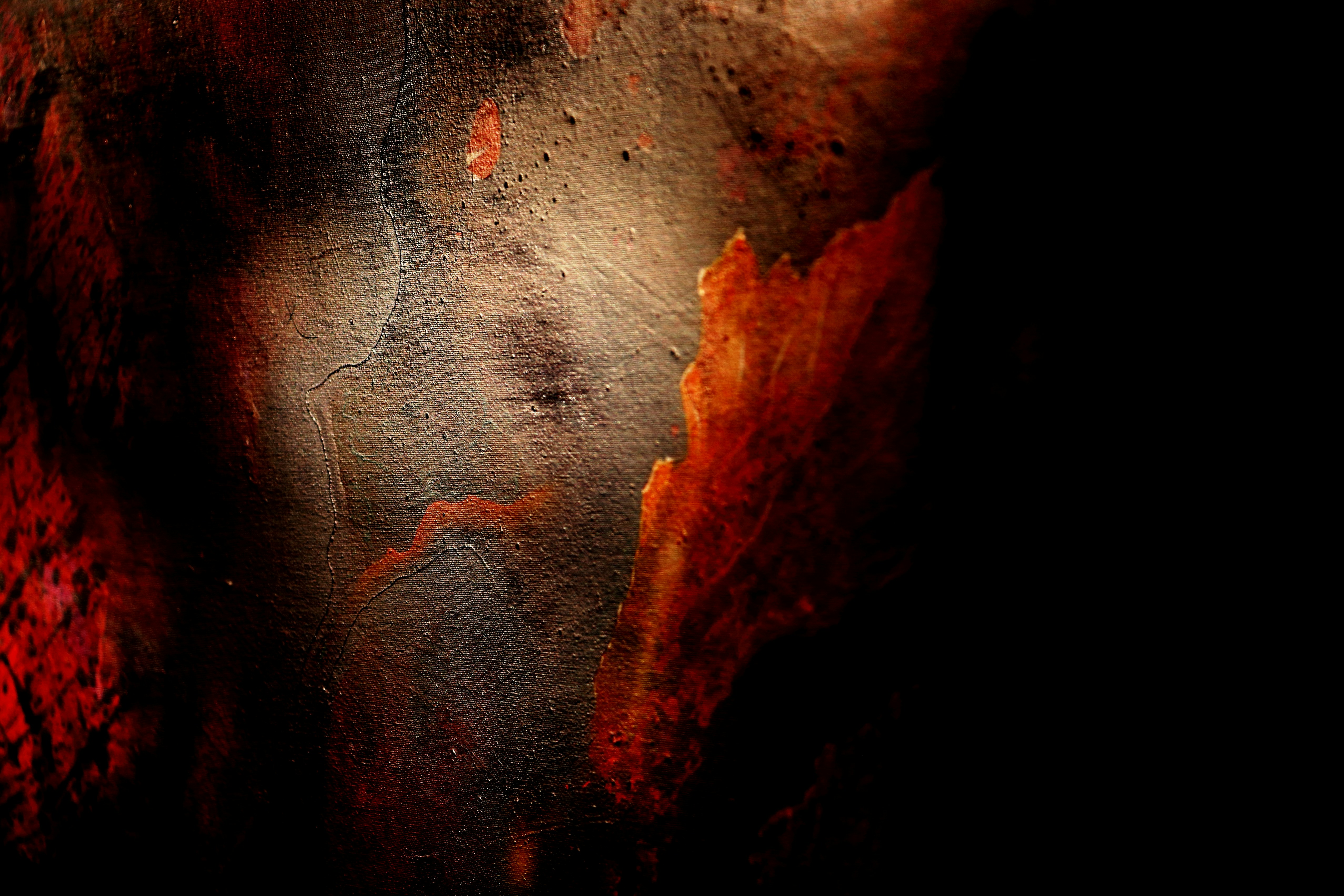 Carnap's Inductive Logic: The Dream of Algorithmic Rationality