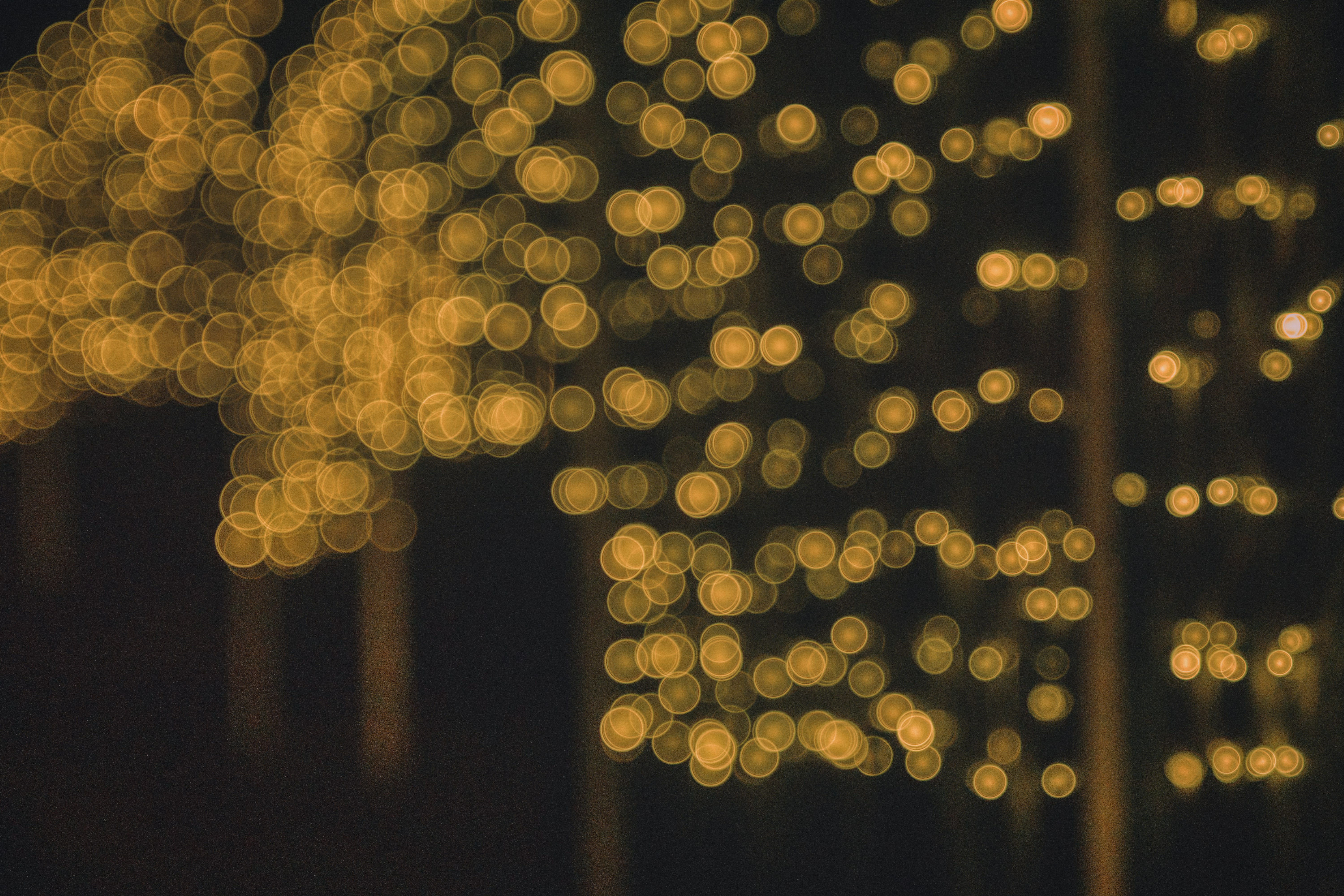 Photo by thomaskinto