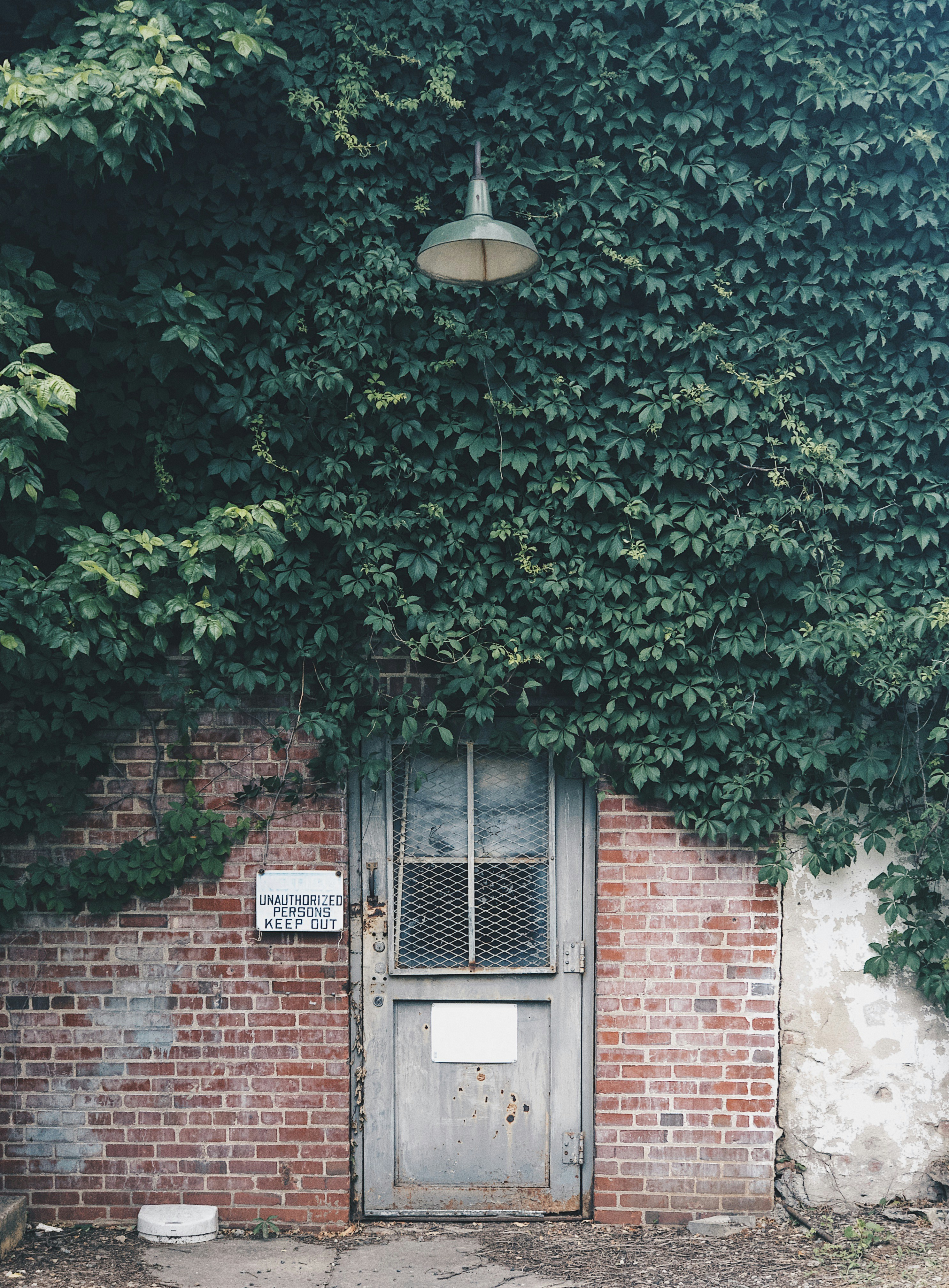 Photo by alexandersawyer