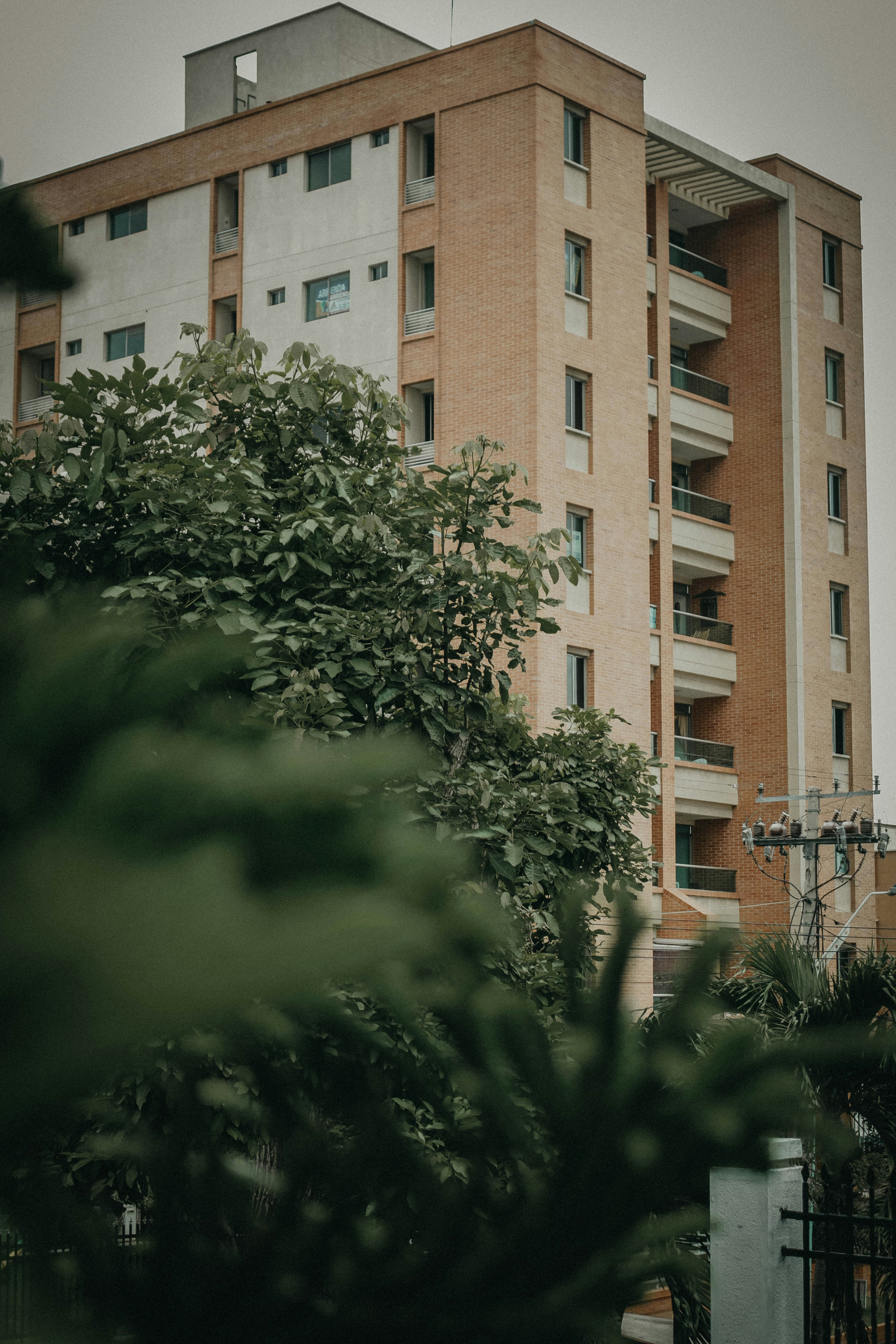 Photo by rubendariojz