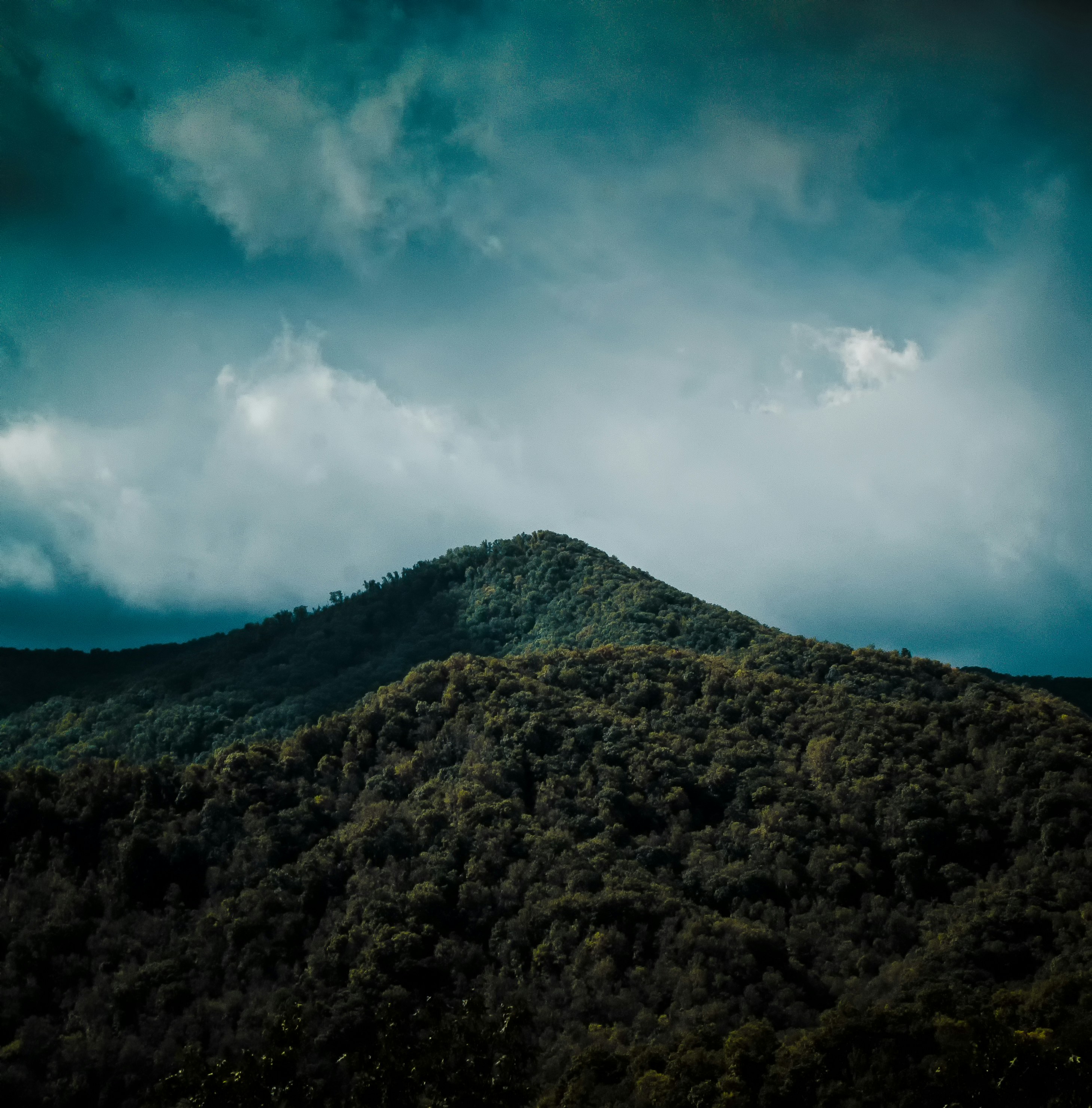 Photo by aravindpasupathi