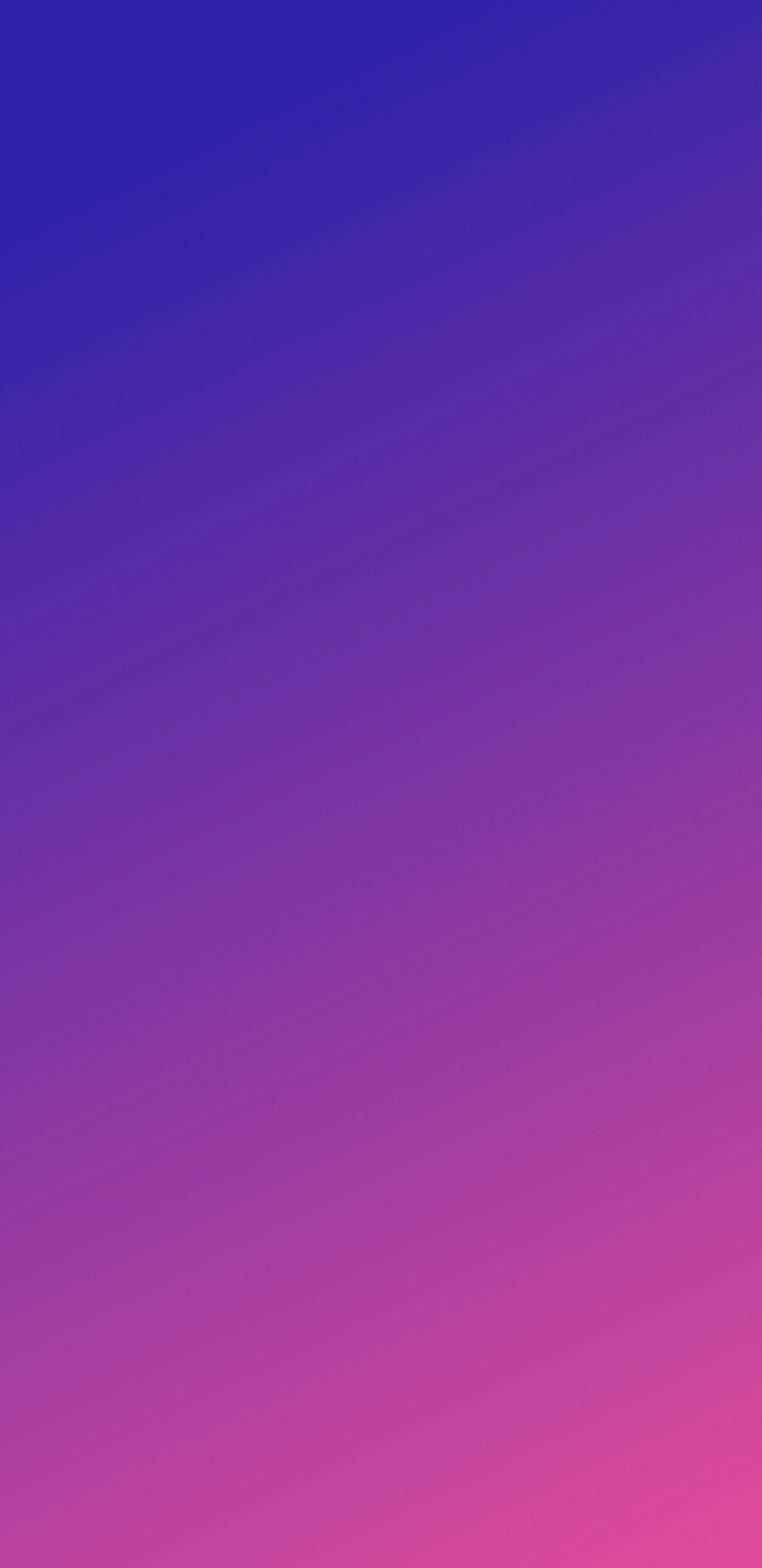 purple gradient