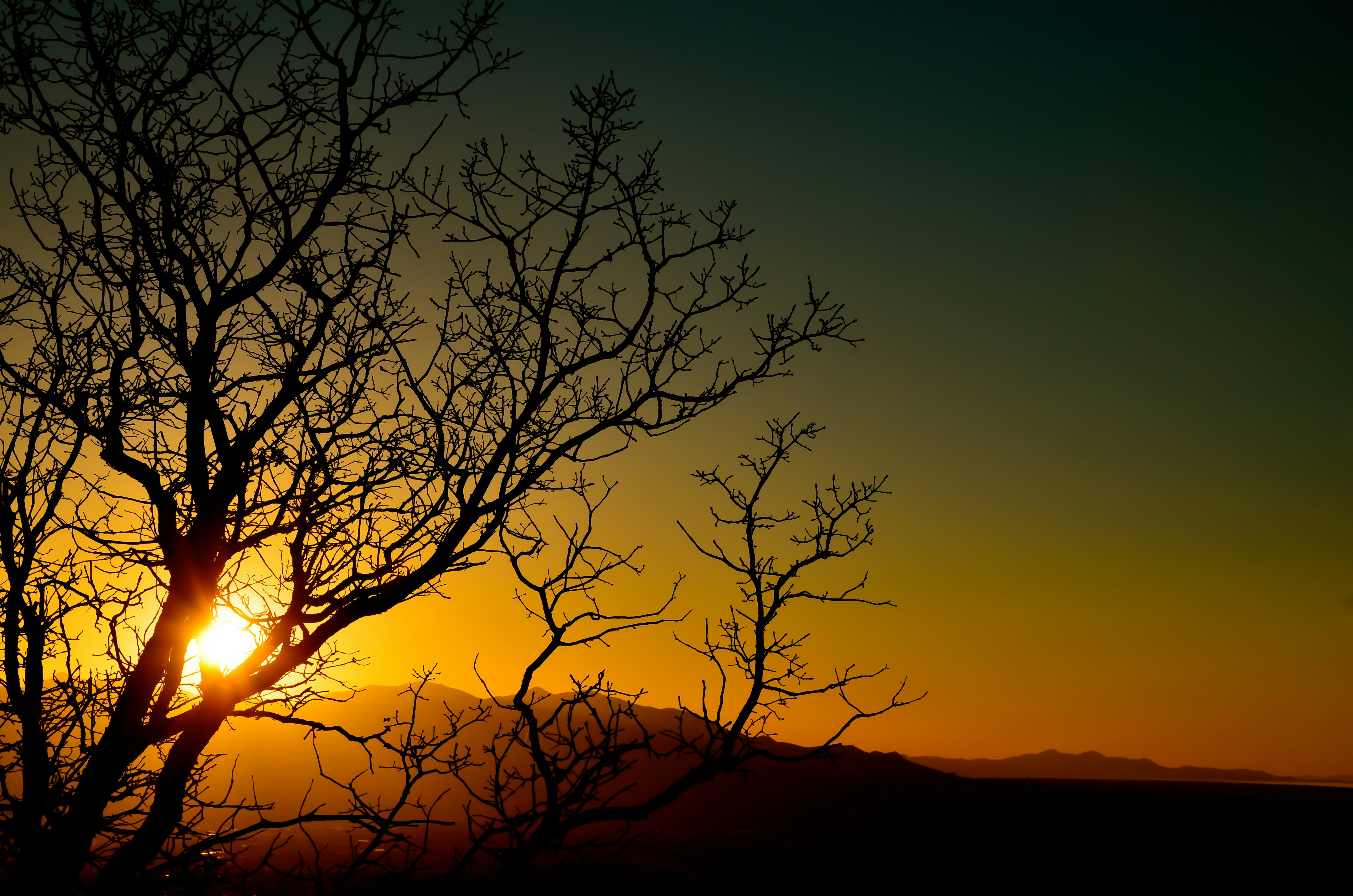 Photo by scottosbornphoto