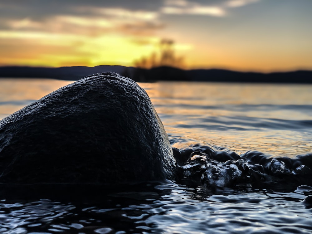 a rock sticking out of the water at sunset