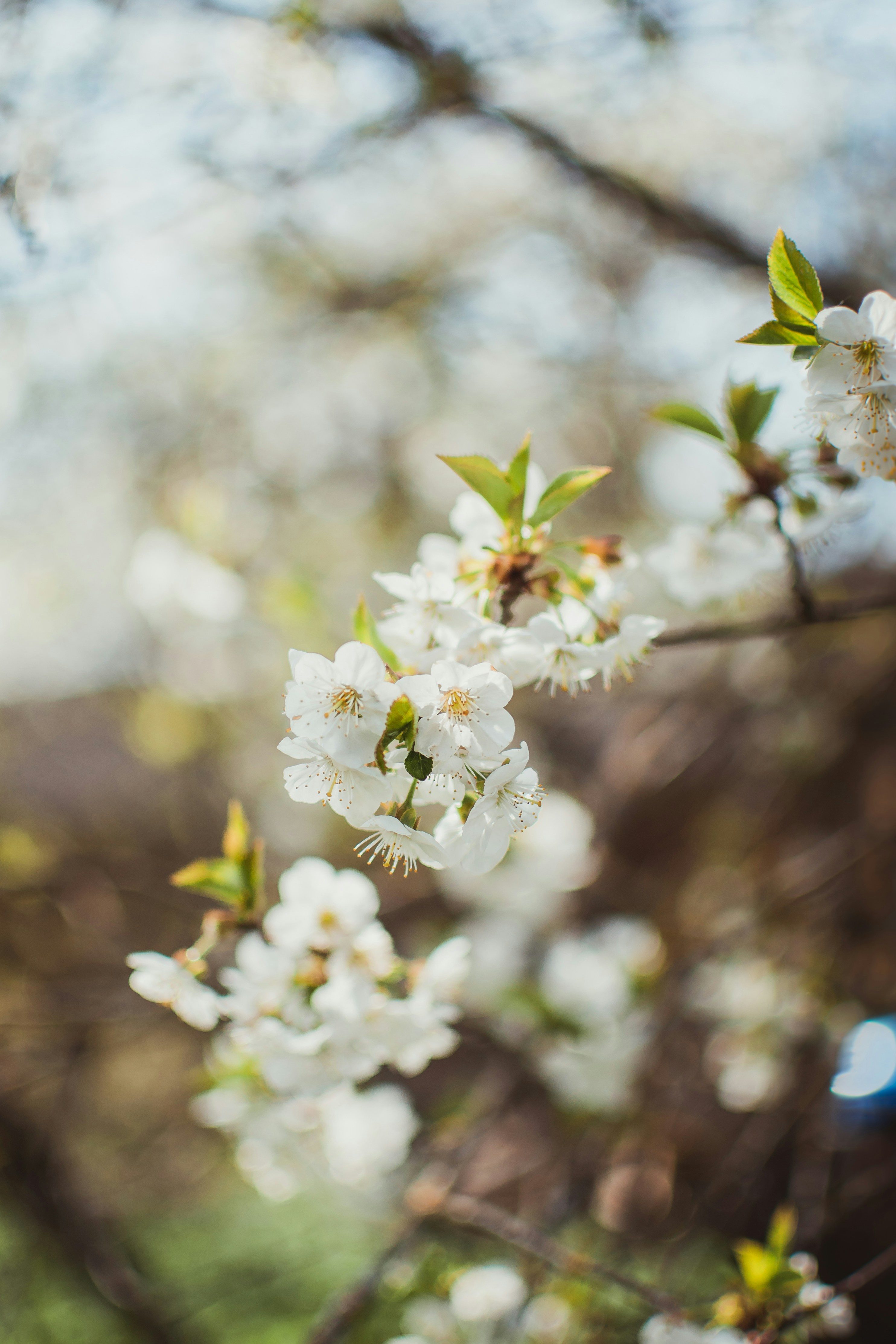 Photo by pillepriske