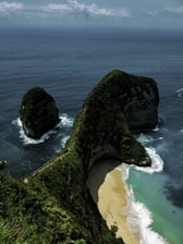 aerial view of plants on cliff near ocean