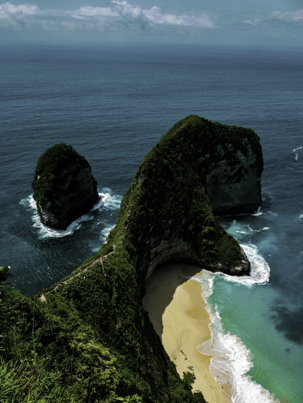 aerial view of plants on cliff near ocean