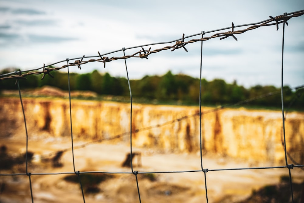 grey barbed wire