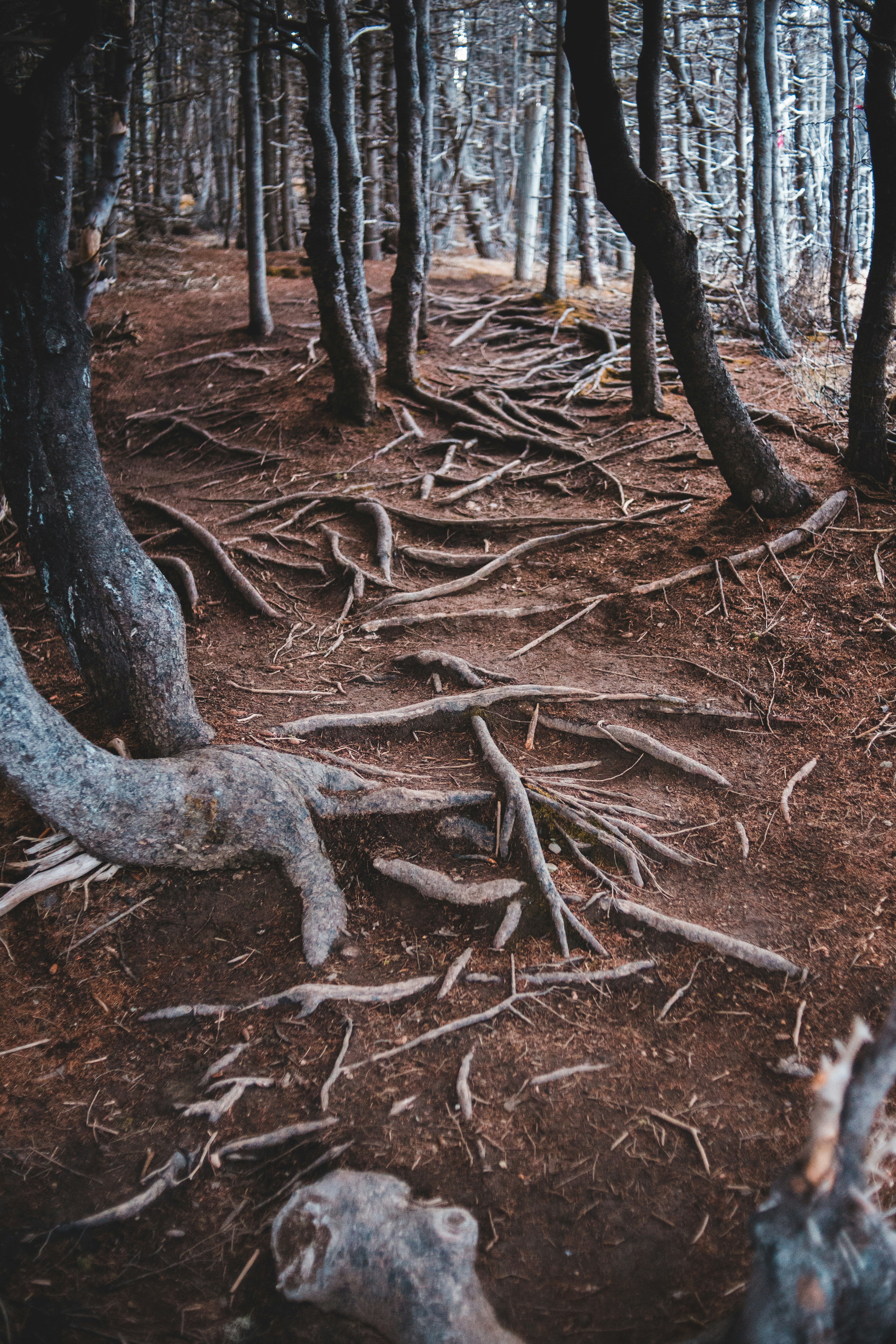 Photo by introspectivedsgn