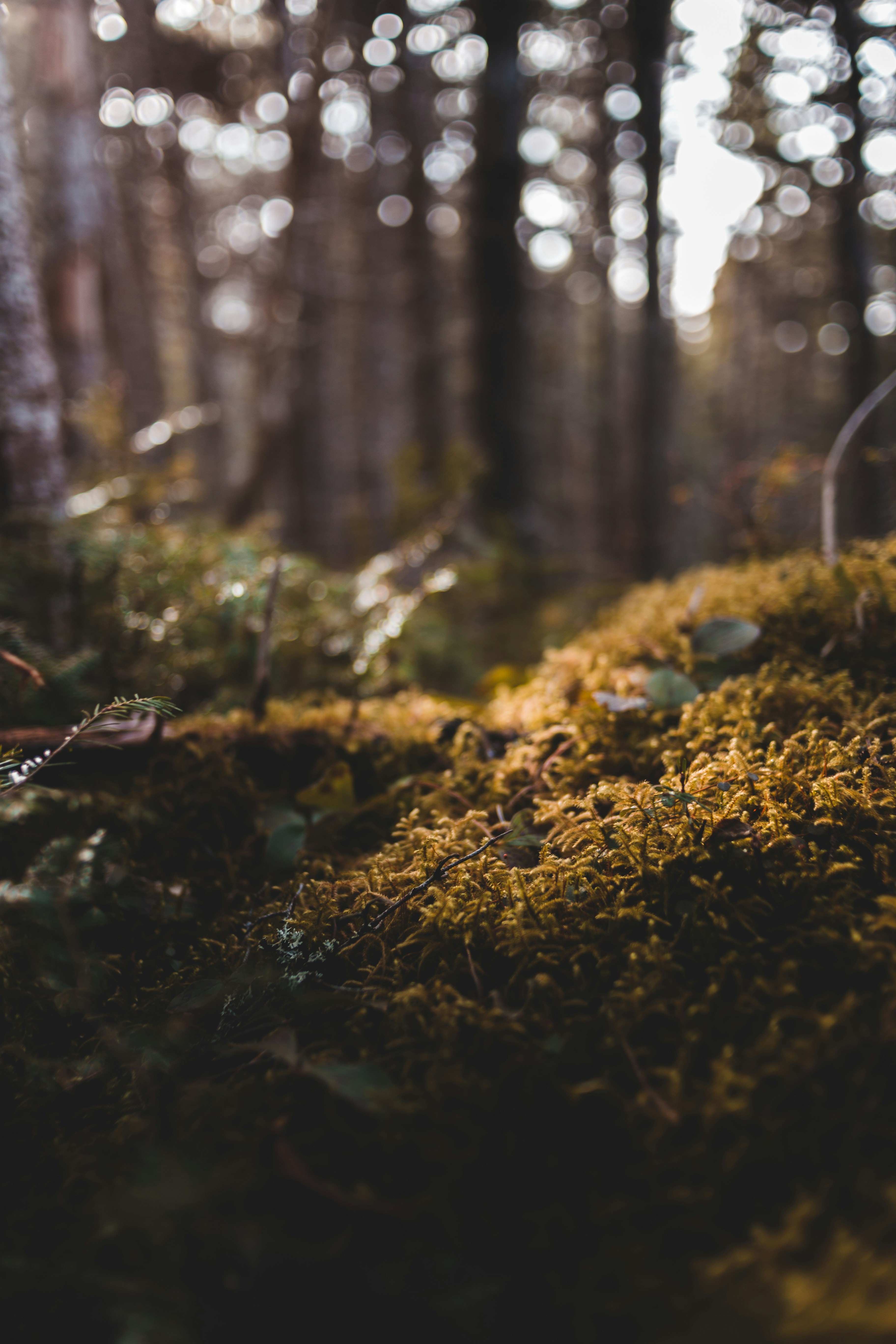 Photo by introspectivedsgn