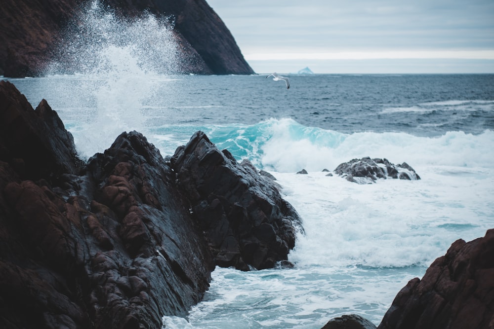 rock formation on the ocean photography