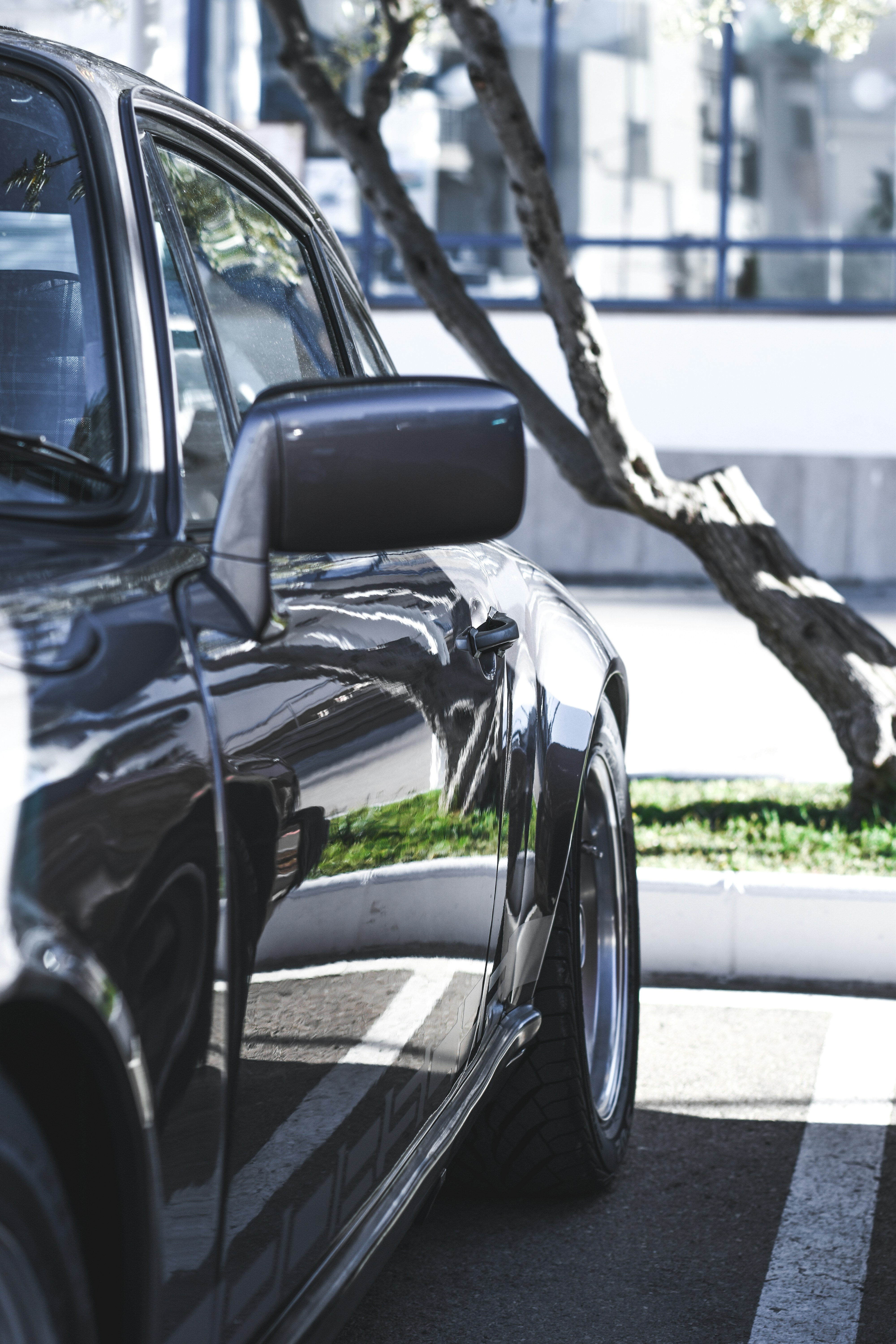 Photo by williamnavarro_