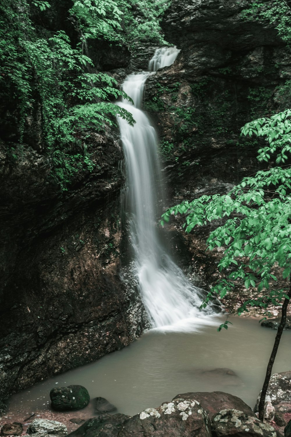 waterfalls on forest