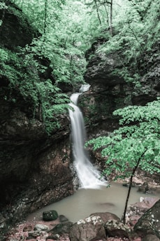 water falls surrounded with trees during daytime