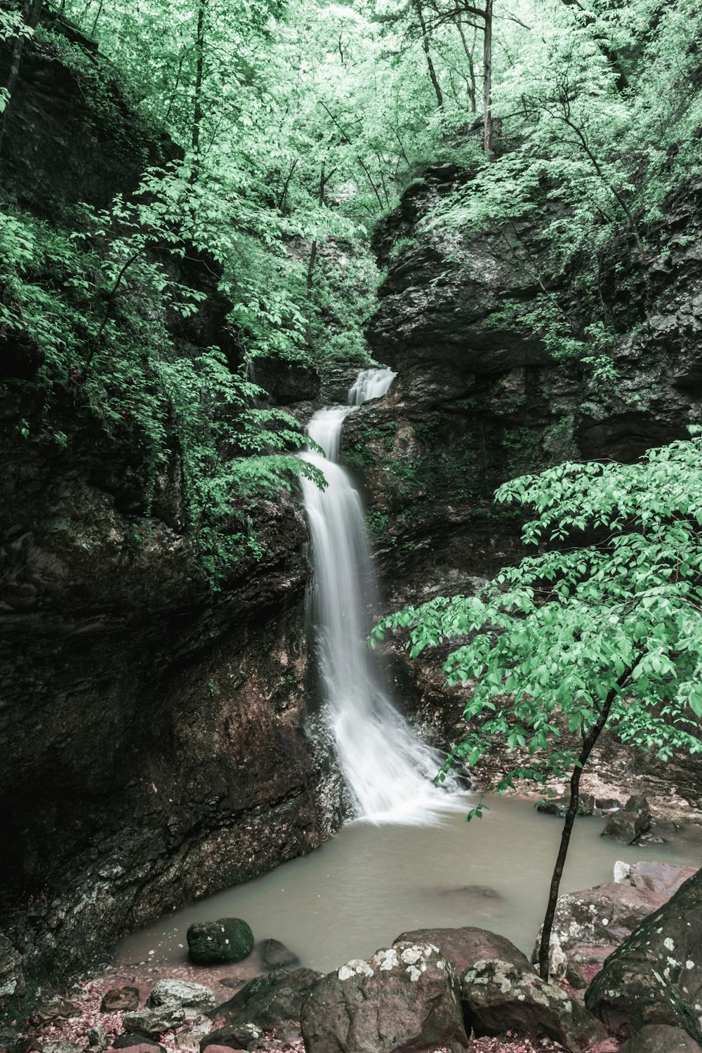 water falls surrounded with trees during daytime