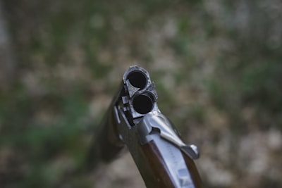 shallow focus photo of brown rifle