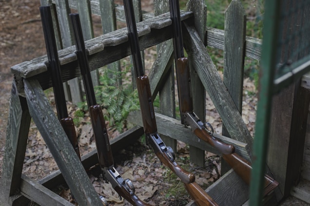 Several shotguns are neatly placed on a wooden rack outdoors, surrounded by a rustic wooden fence. The scene has a natural, earthy ambiance with some greenery visible in the background and fallen leaves on the ground.