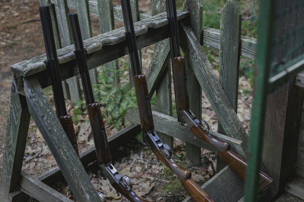 Shotgun Shells