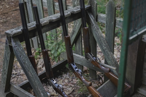 Several shotguns are neatly placed on a wooden rack outdoors, surrounded by a rustic wooden fence. The scene has a natural, earthy ambiance with some greenery visible in the background and fallen leaves on the ground.