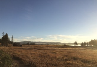 A peaceful prairie landscape with open fields and a small village in the distance.