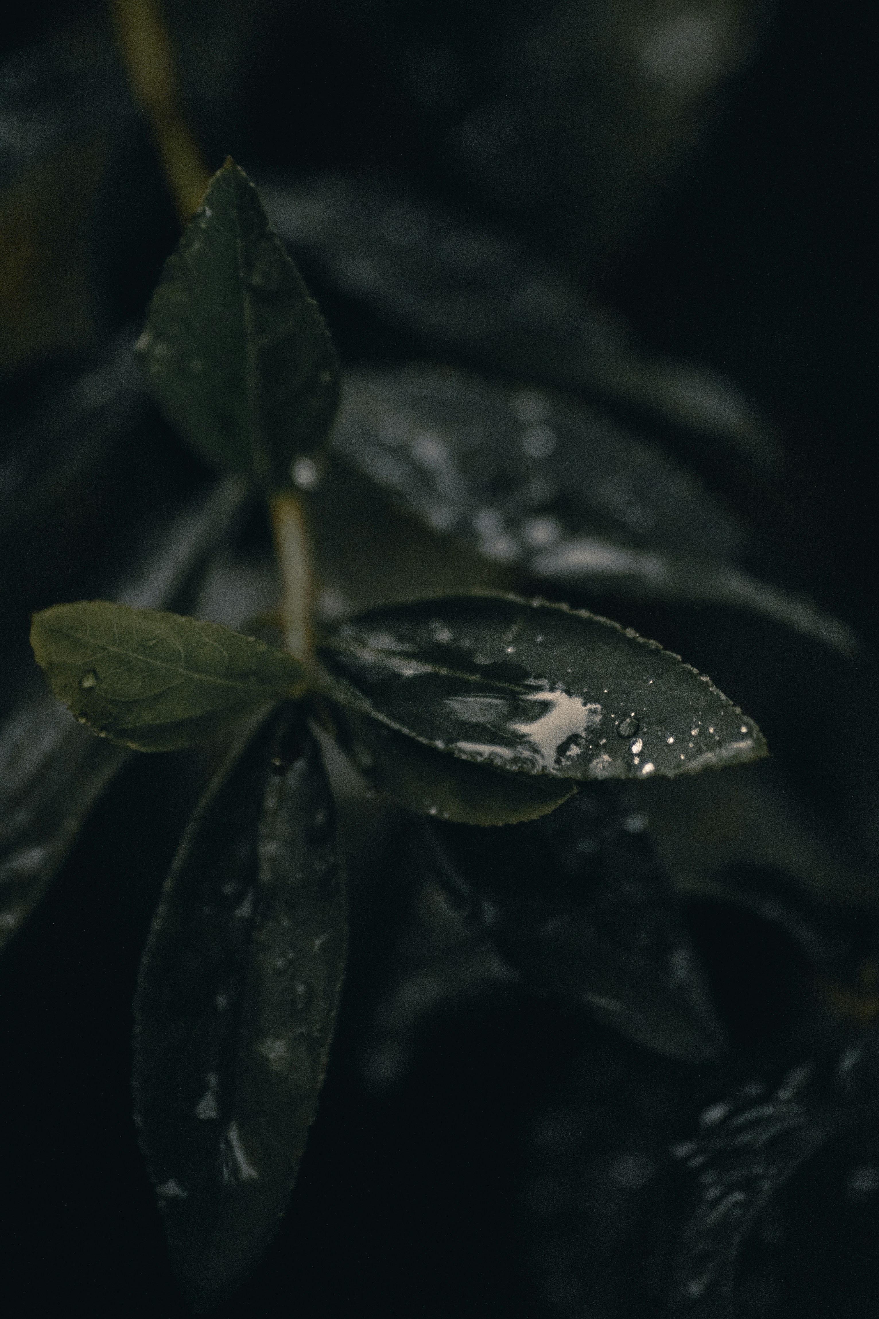 Photo by gasparzaldo