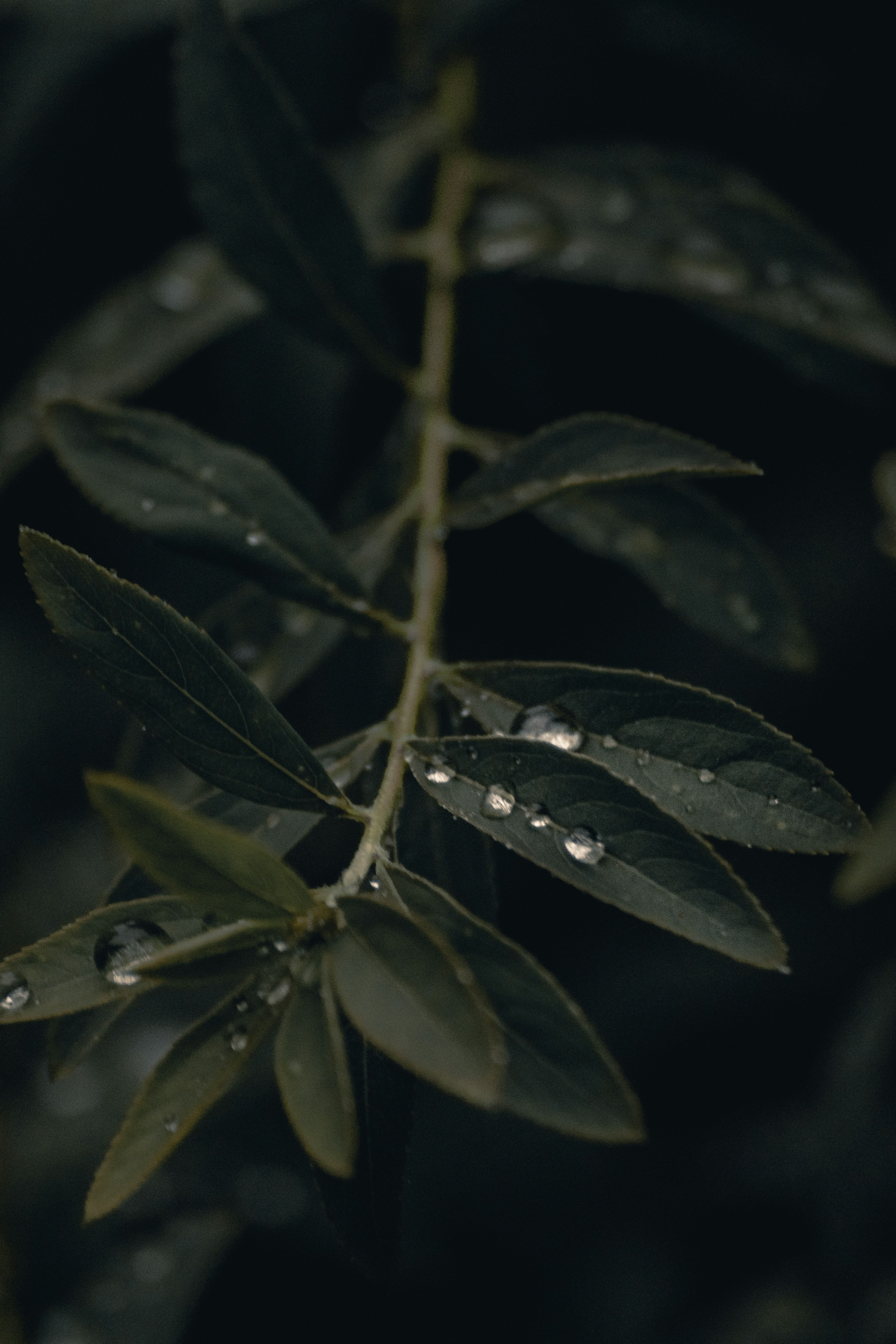 Photo by gasparzaldo