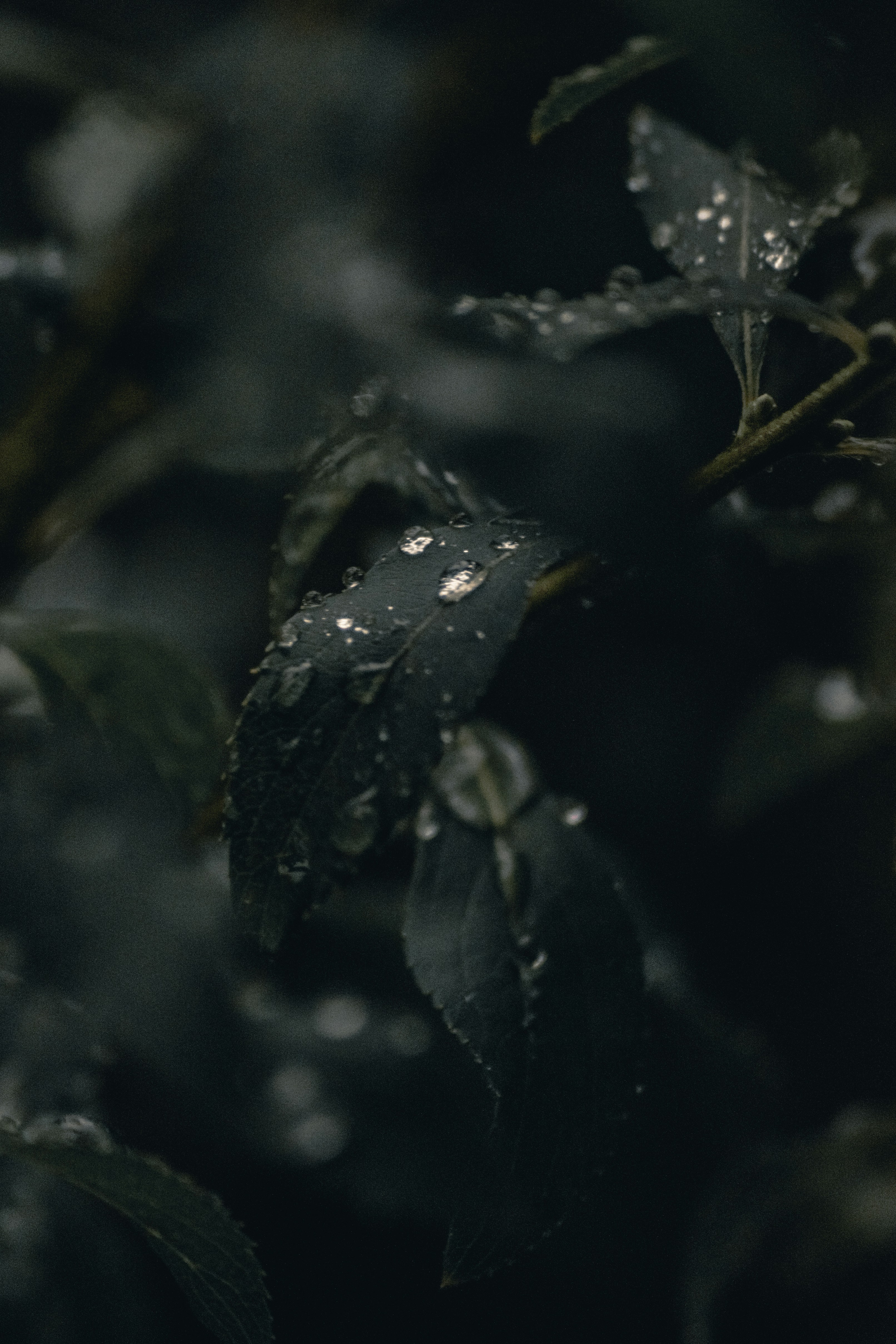 Photo by gasparzaldo