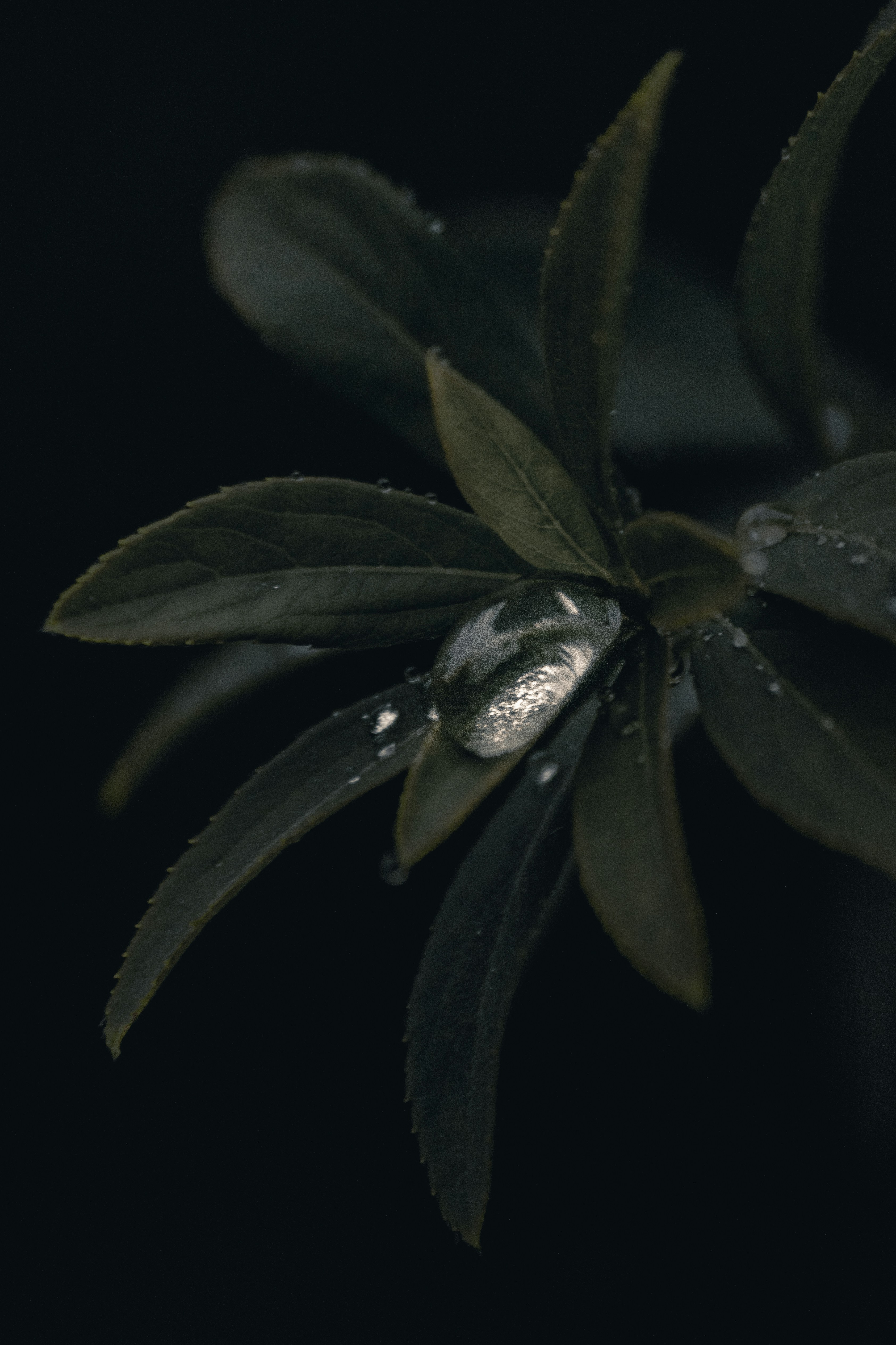 Photo by gasparzaldo