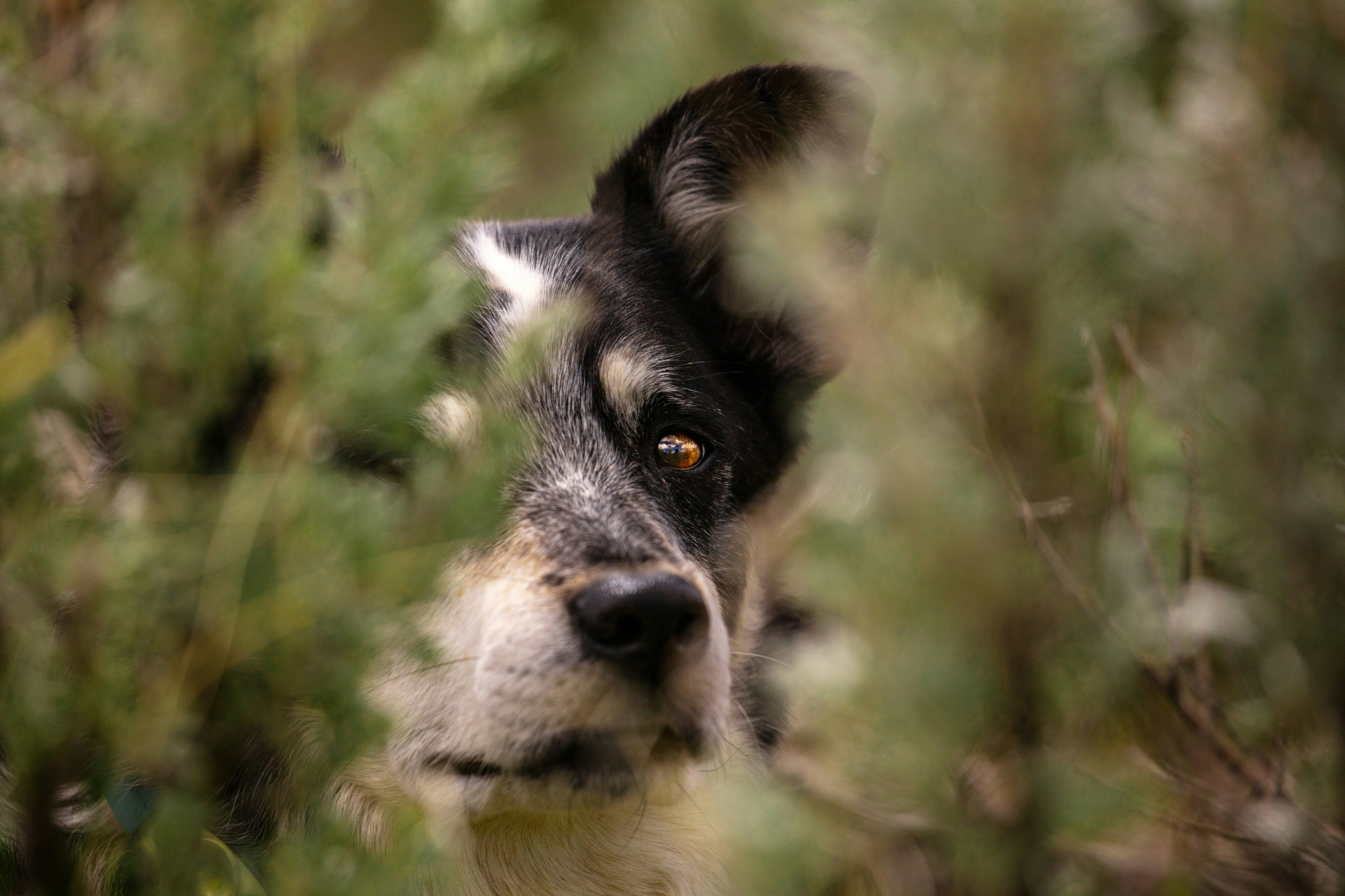 Photo by worldsbetweenlines