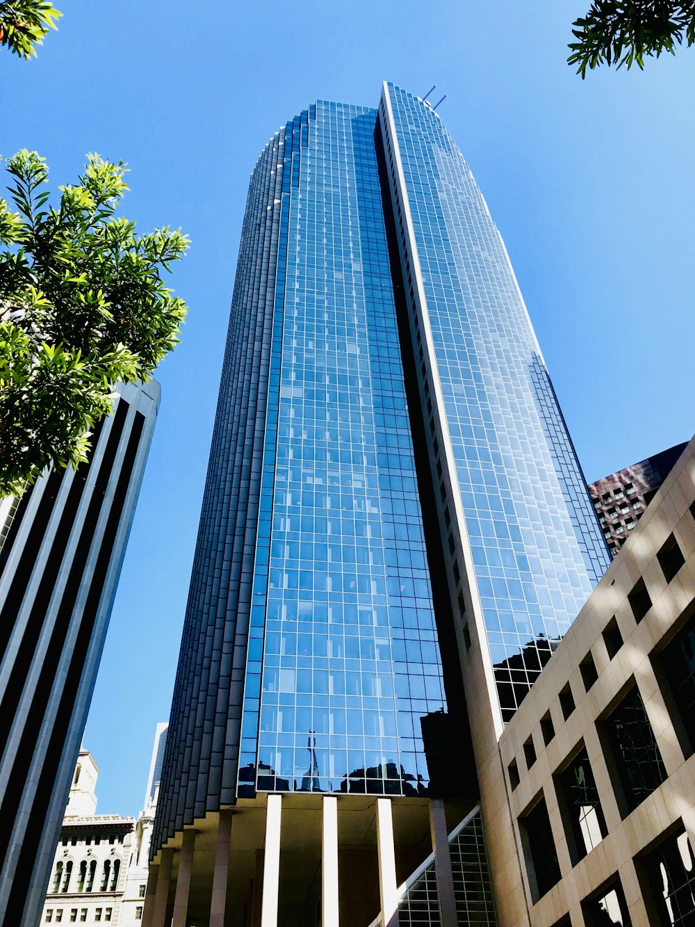 low angle photo of blue glass curtain building