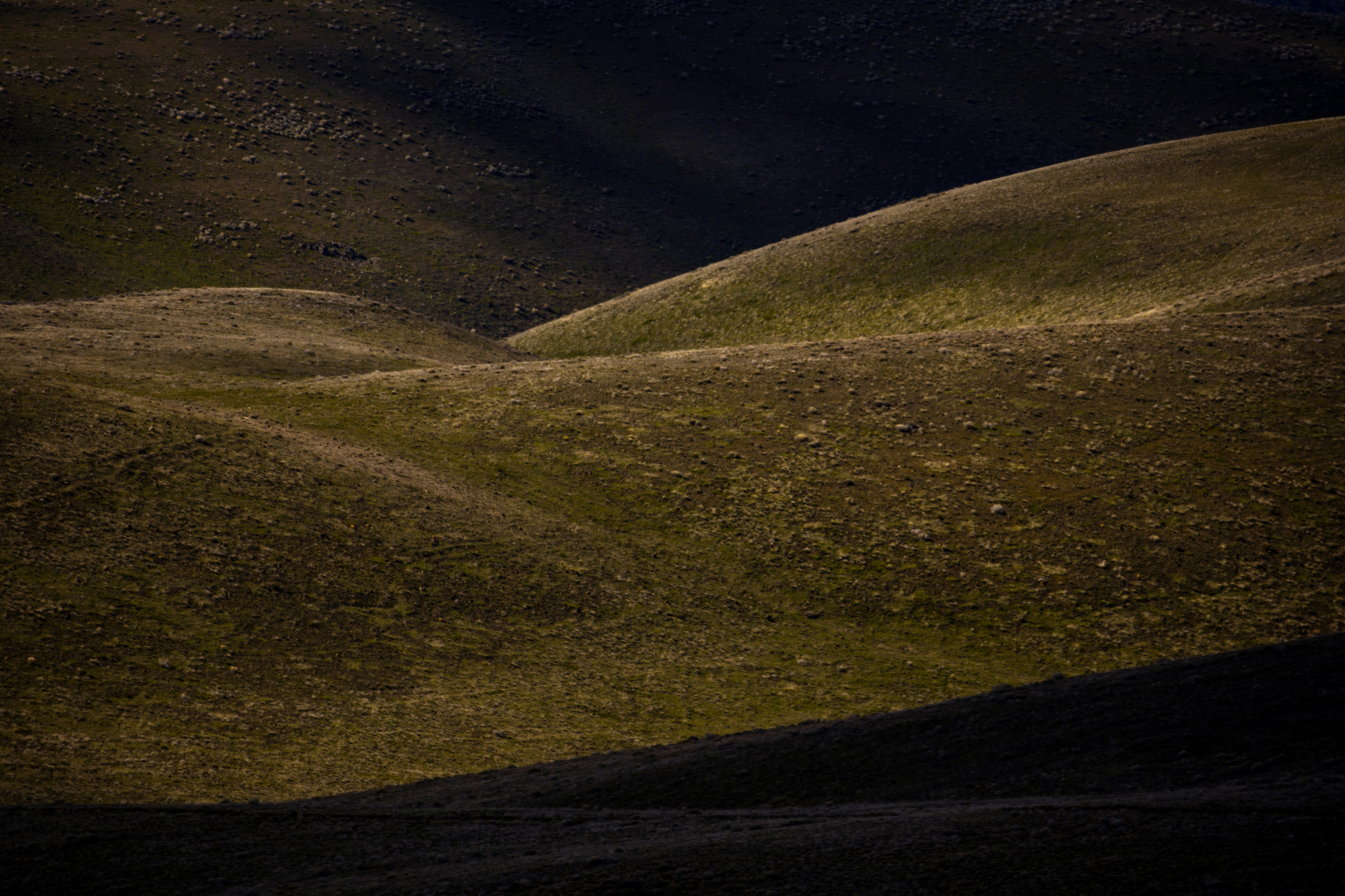 Photo by worldsbetweenlines