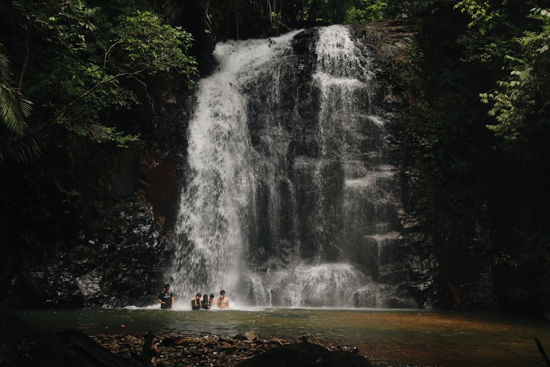 people in waterfall in forest