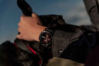 A person wearing a black smartwatch with a detailed watch face design, holding the head of a black dog. The dog is wearing a red collar, and the person is dressed in dark clothing. The lighting casts the scene in a dramatic and moody atmosphere, with shadows enhancing the texture of the watch and the dog's fur.