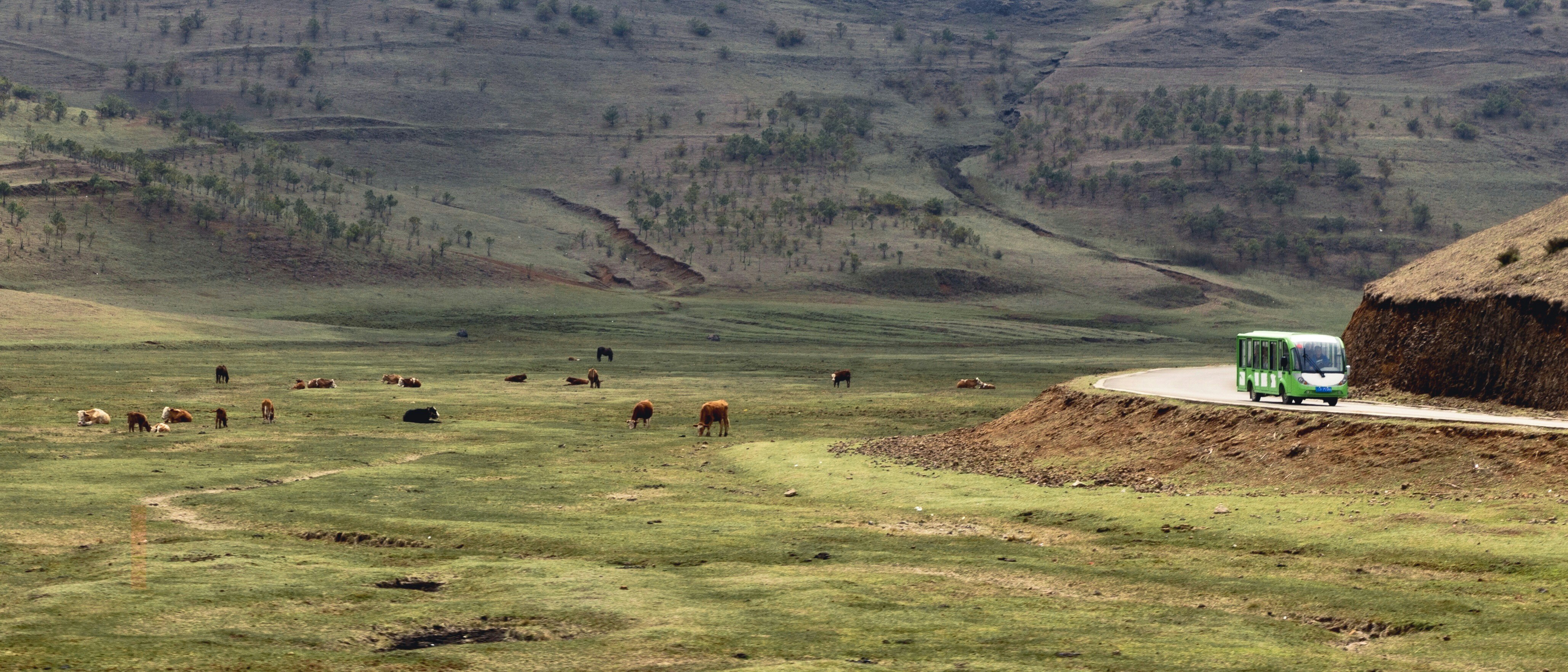 Photo by mw960367054