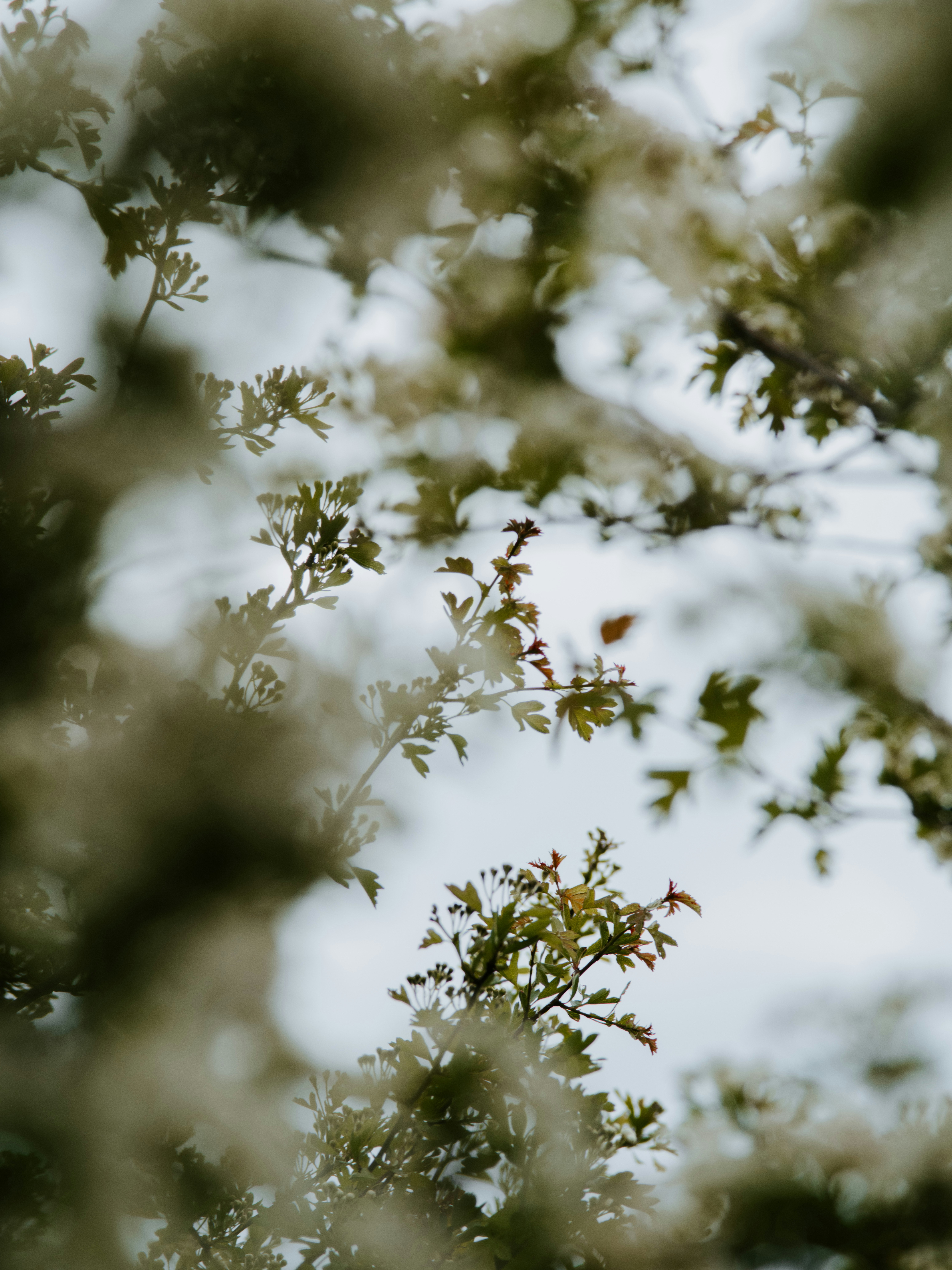 Photo by anniespratt