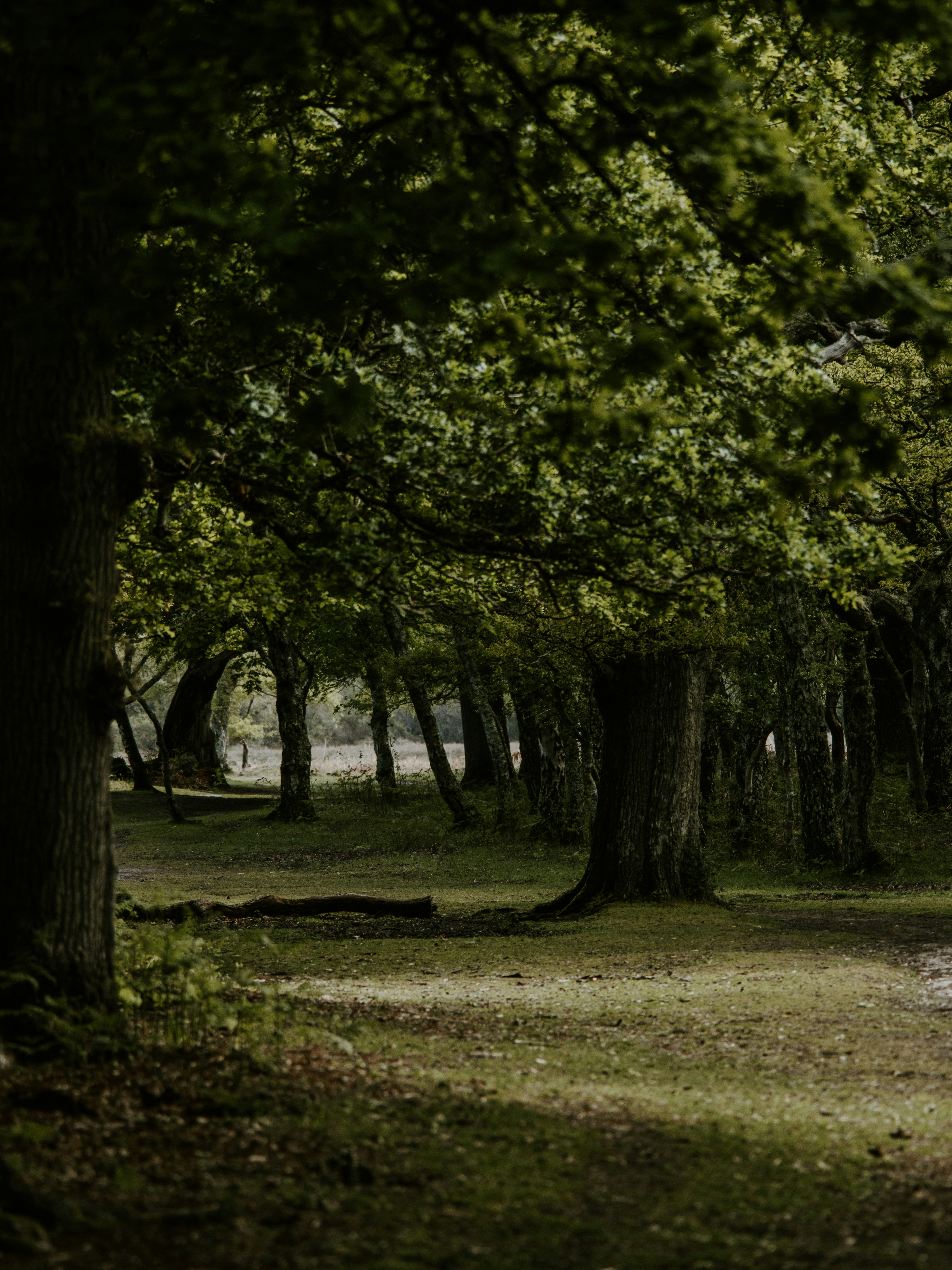 Photo by anniespratt