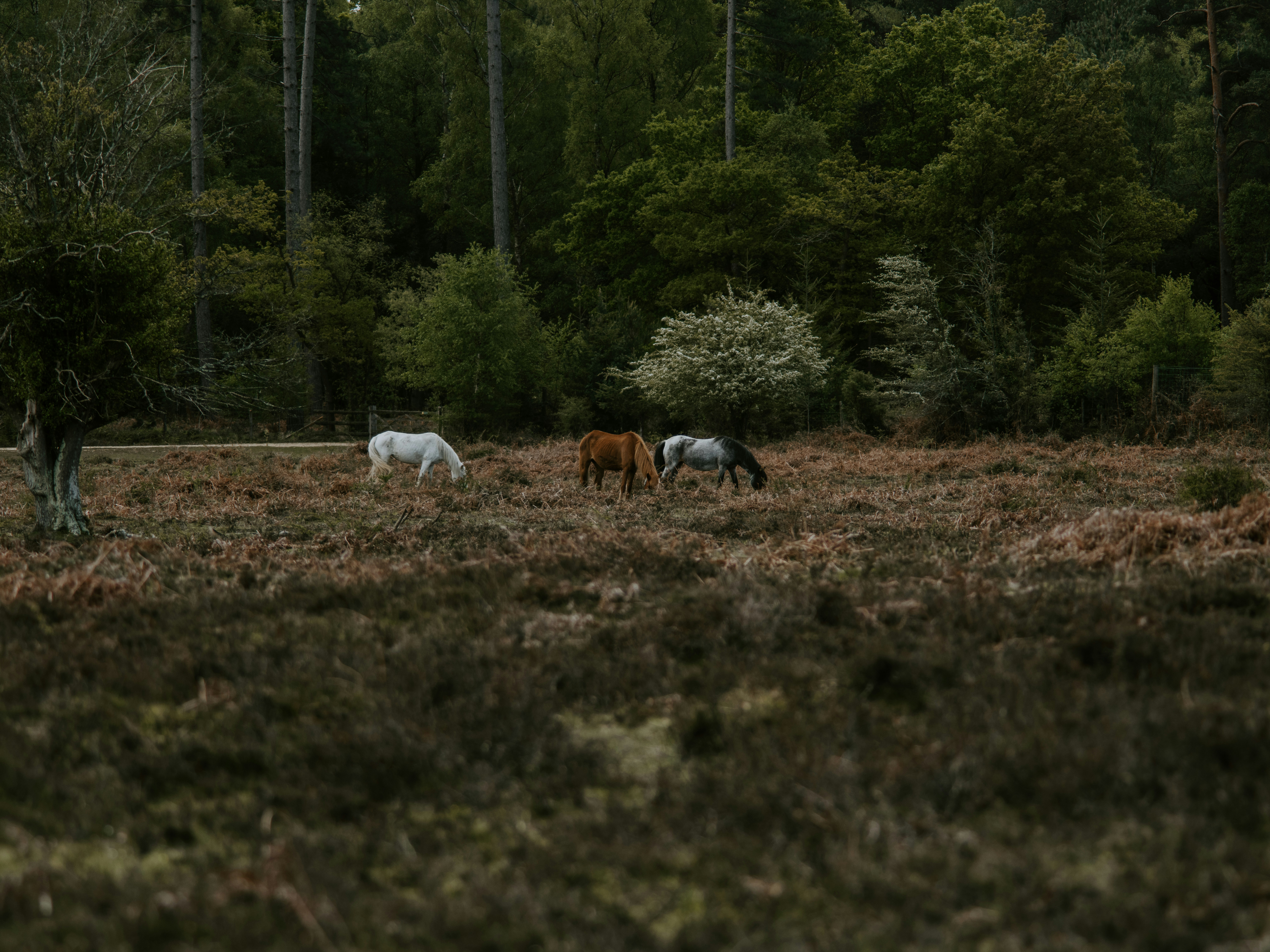 Photo by anniespratt