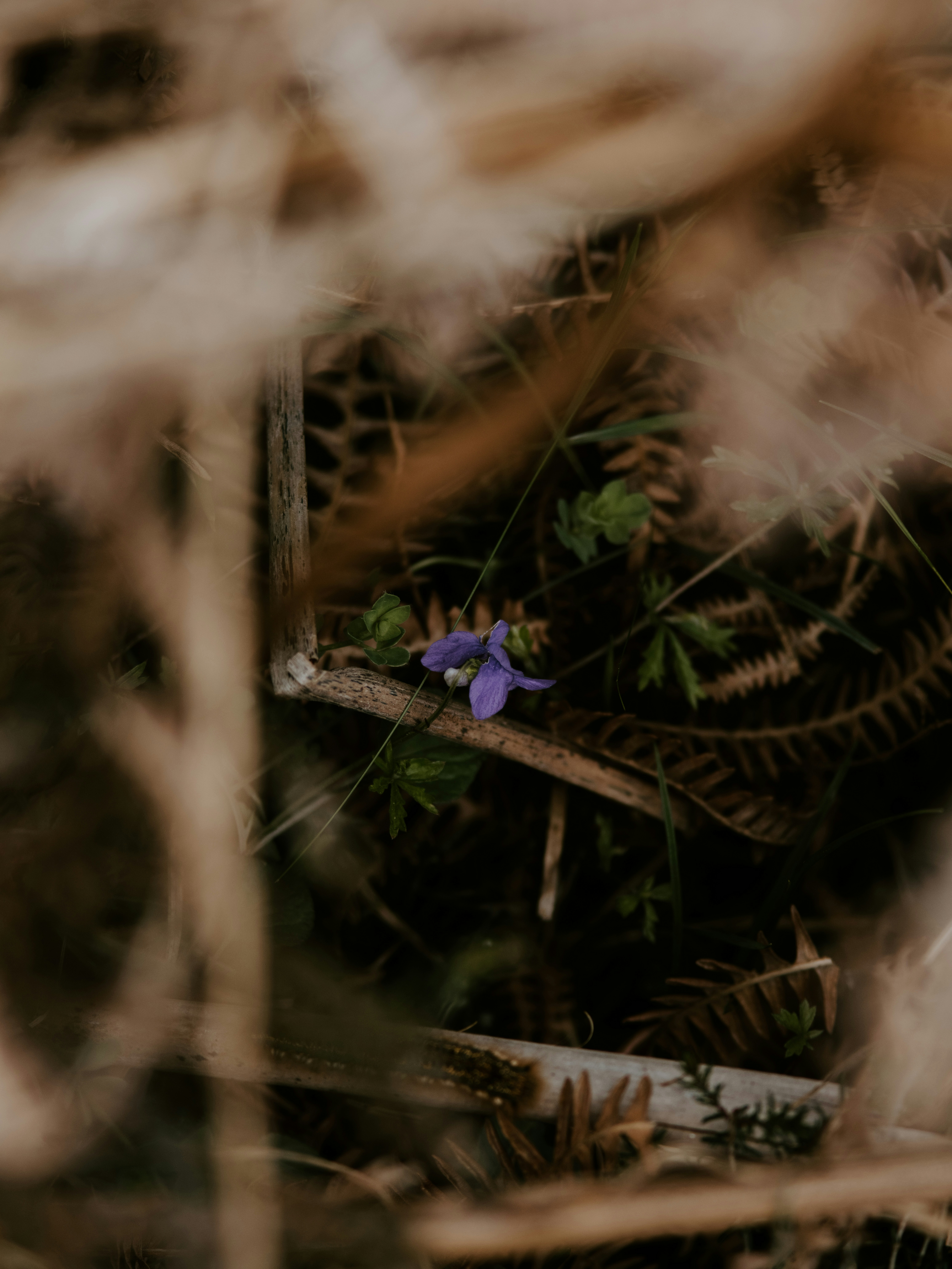 Photo by anniespratt