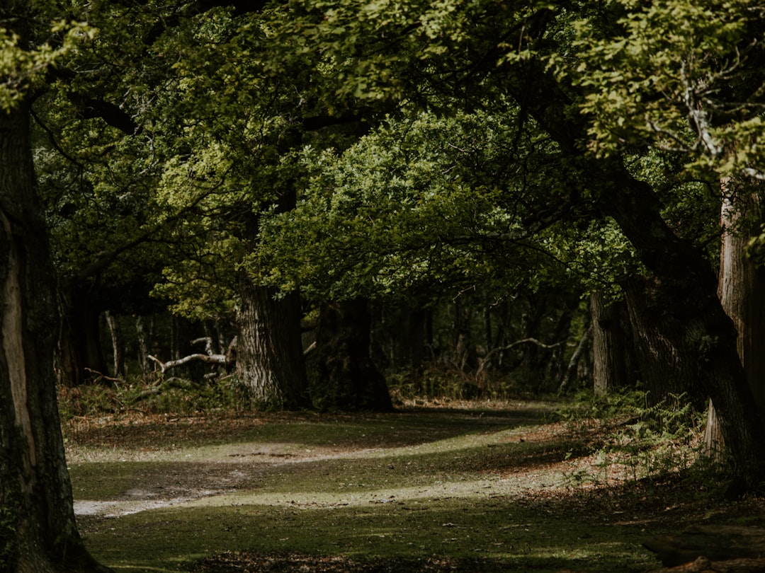 green trees