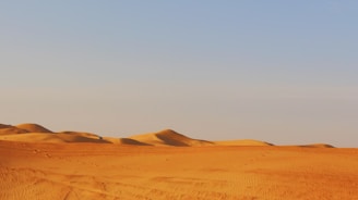 A panoramic view of the golden sand dunes stretching under a clear blue sky.