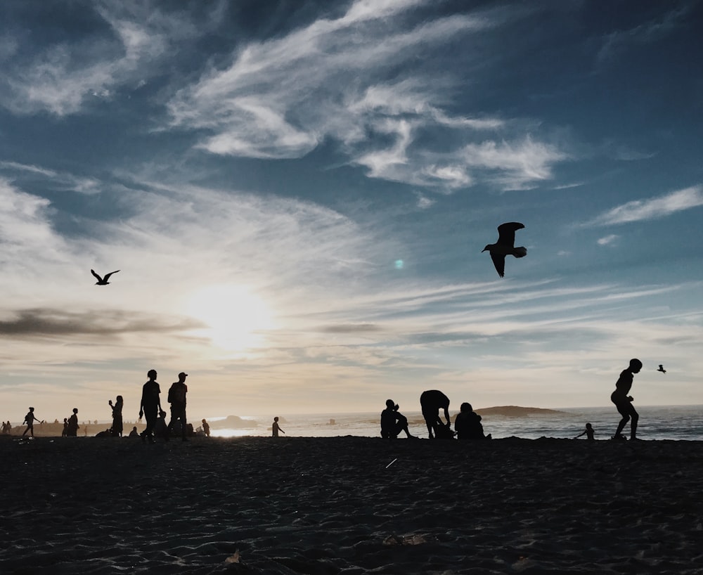 silhouette photography group of person enjoying beach