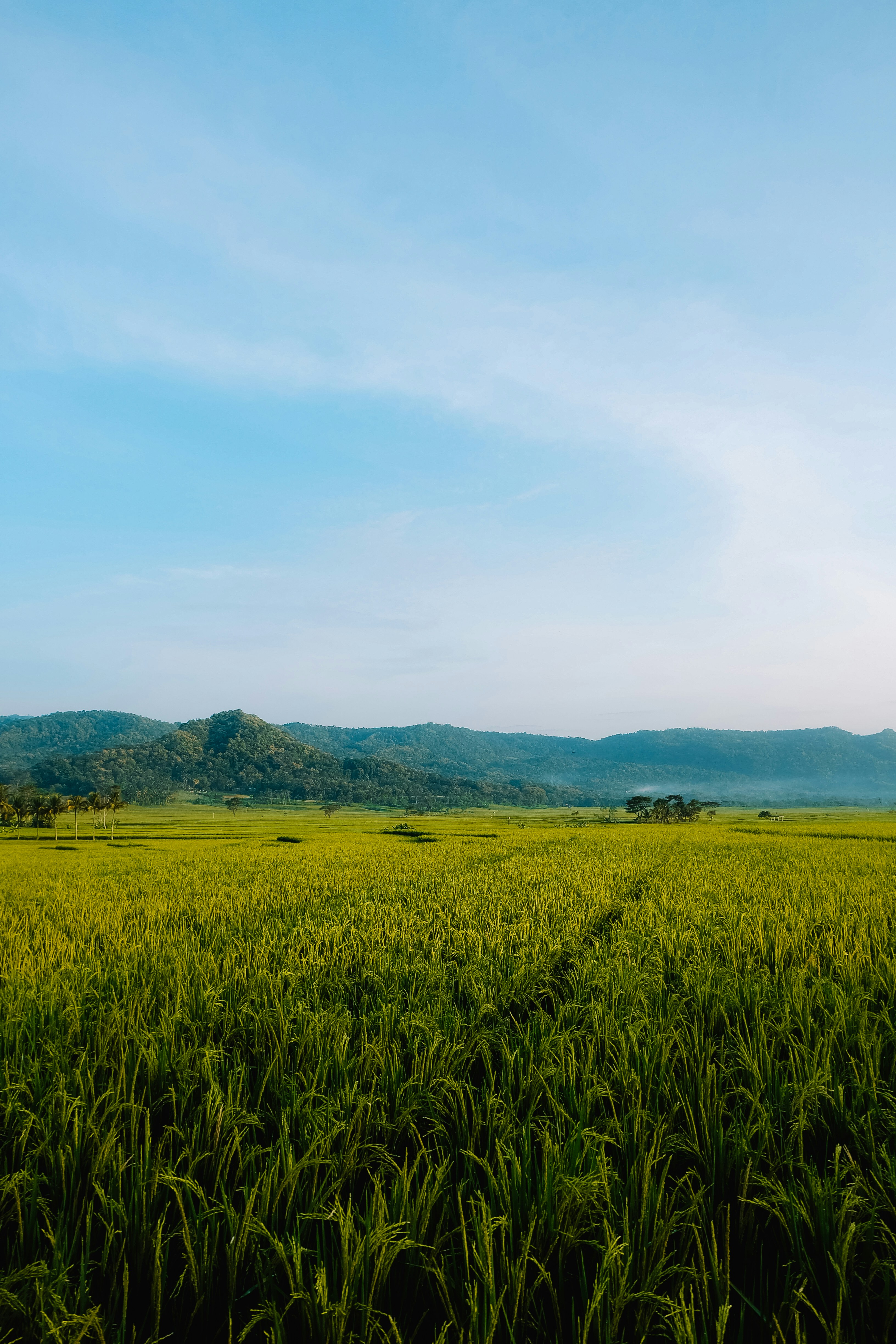 Photo by bangkitristant