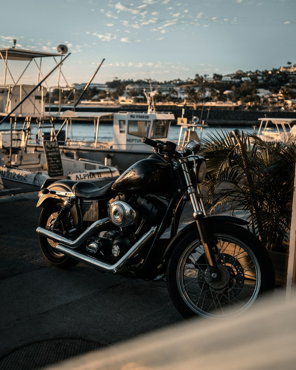 black cruiser motorcycle near plant