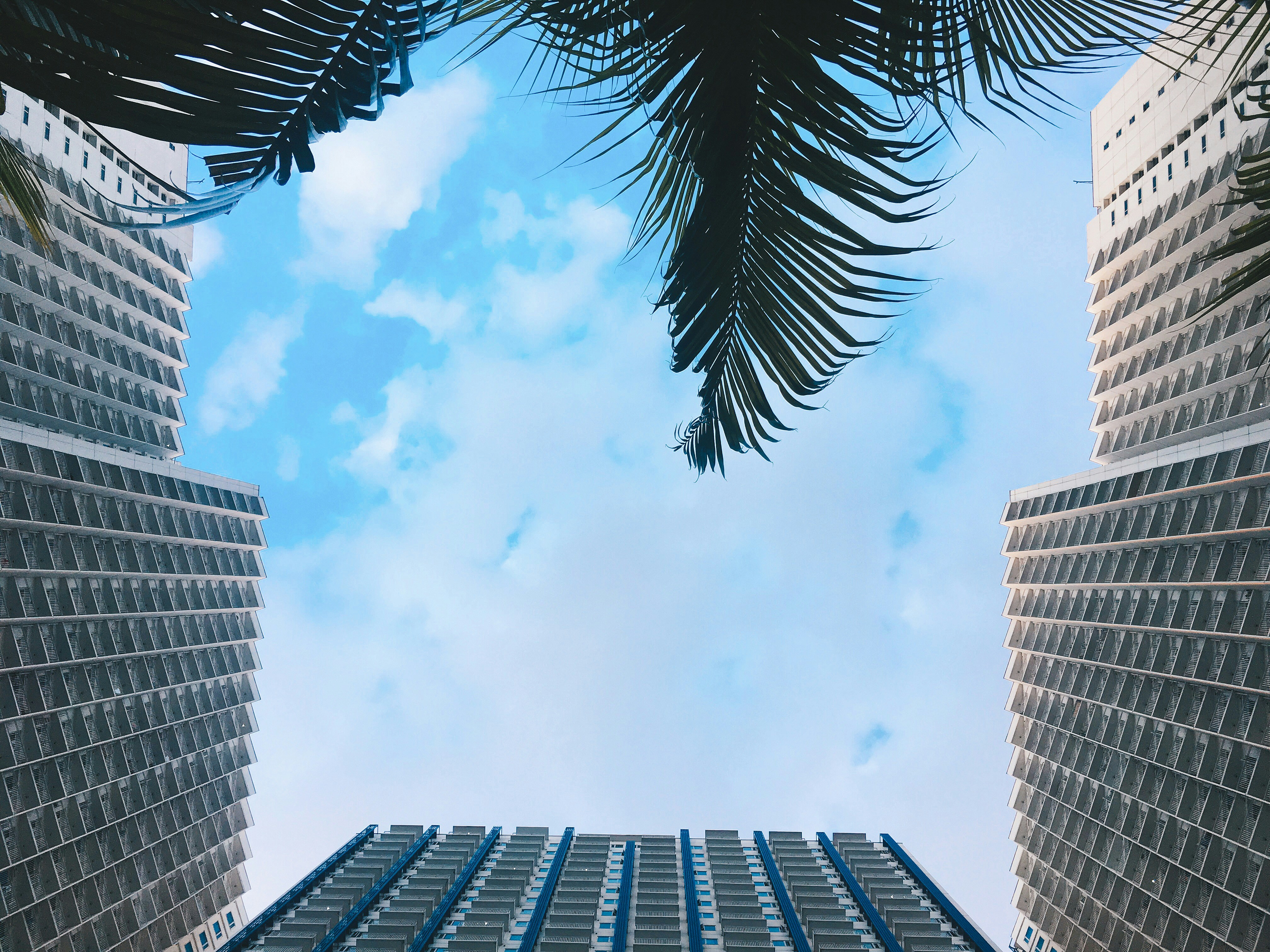 Photo by chaomarcale