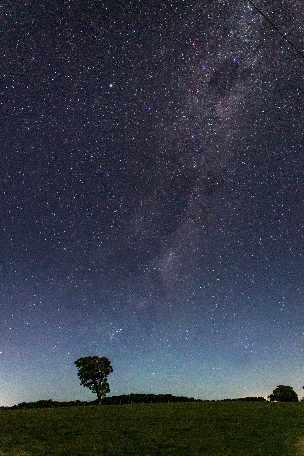 Zeitrafferfoto eines Baumes in der Nacht
