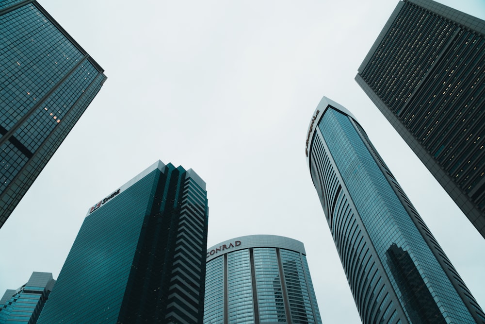 high-rise buildings during day