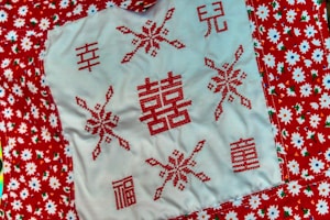 Embroidered Cushion Cover