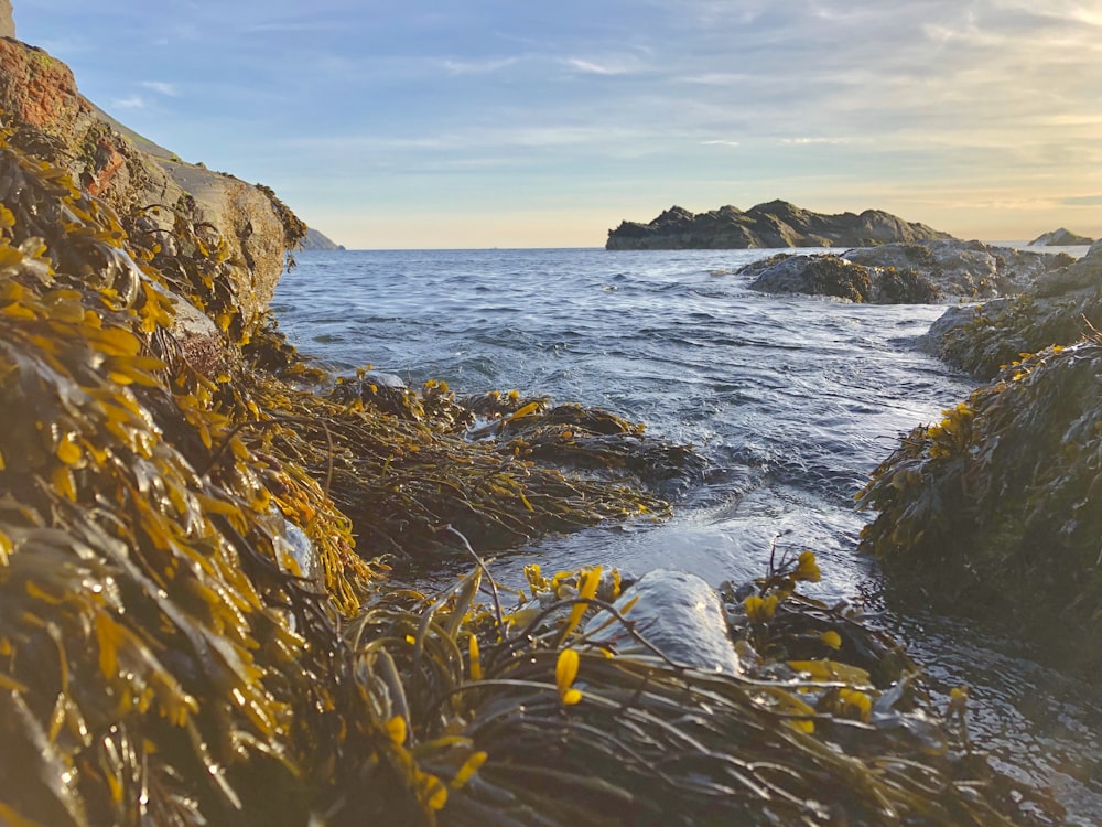 rock formation beside body of water