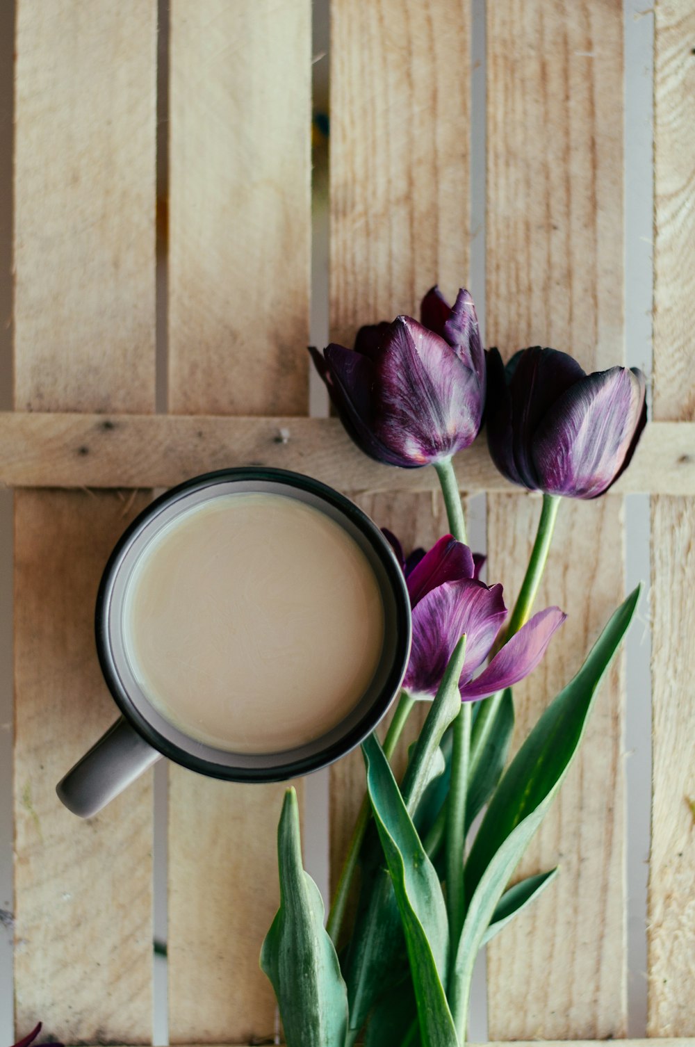 cup near purple tulip flowers